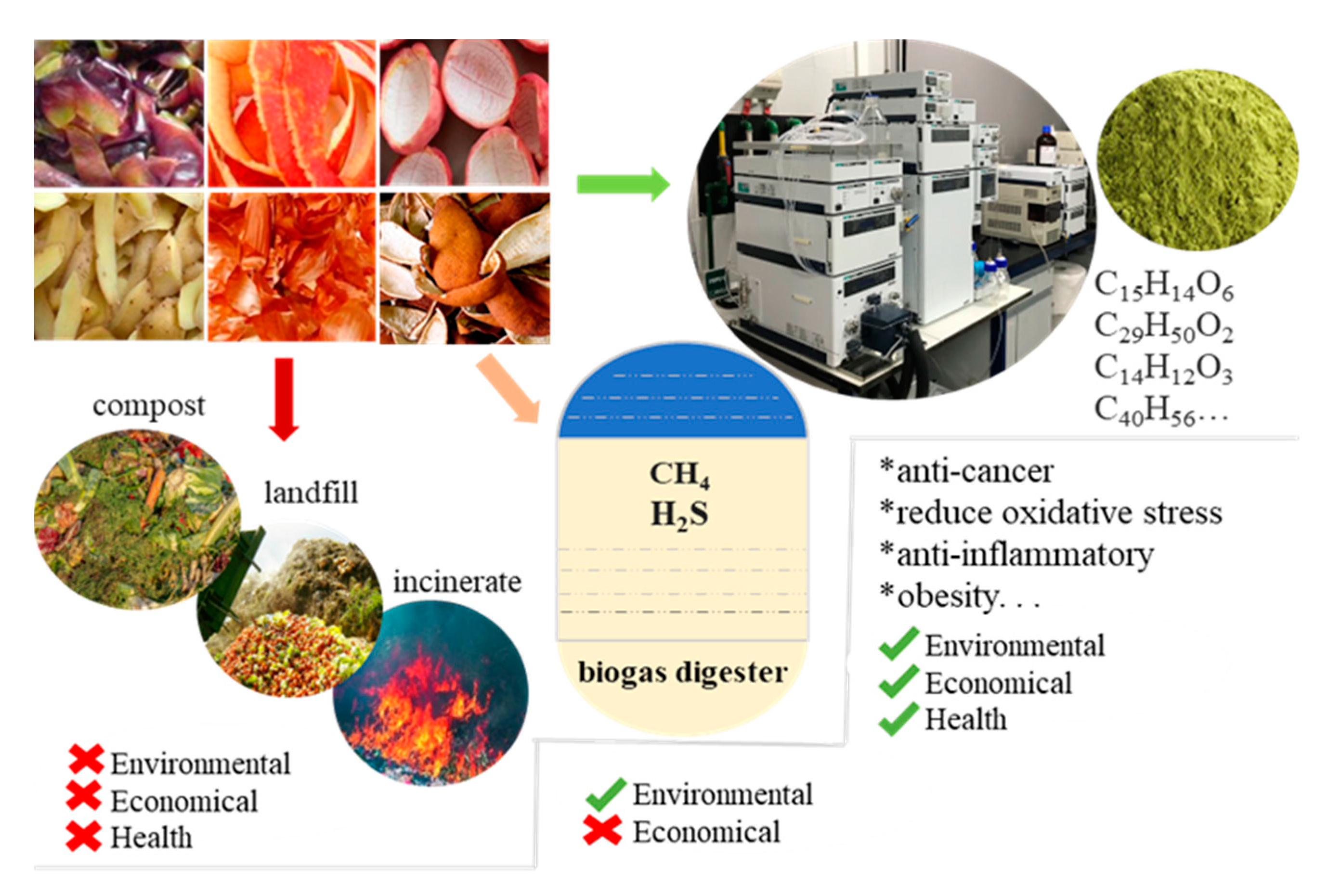 Processes 09 00357 g004
