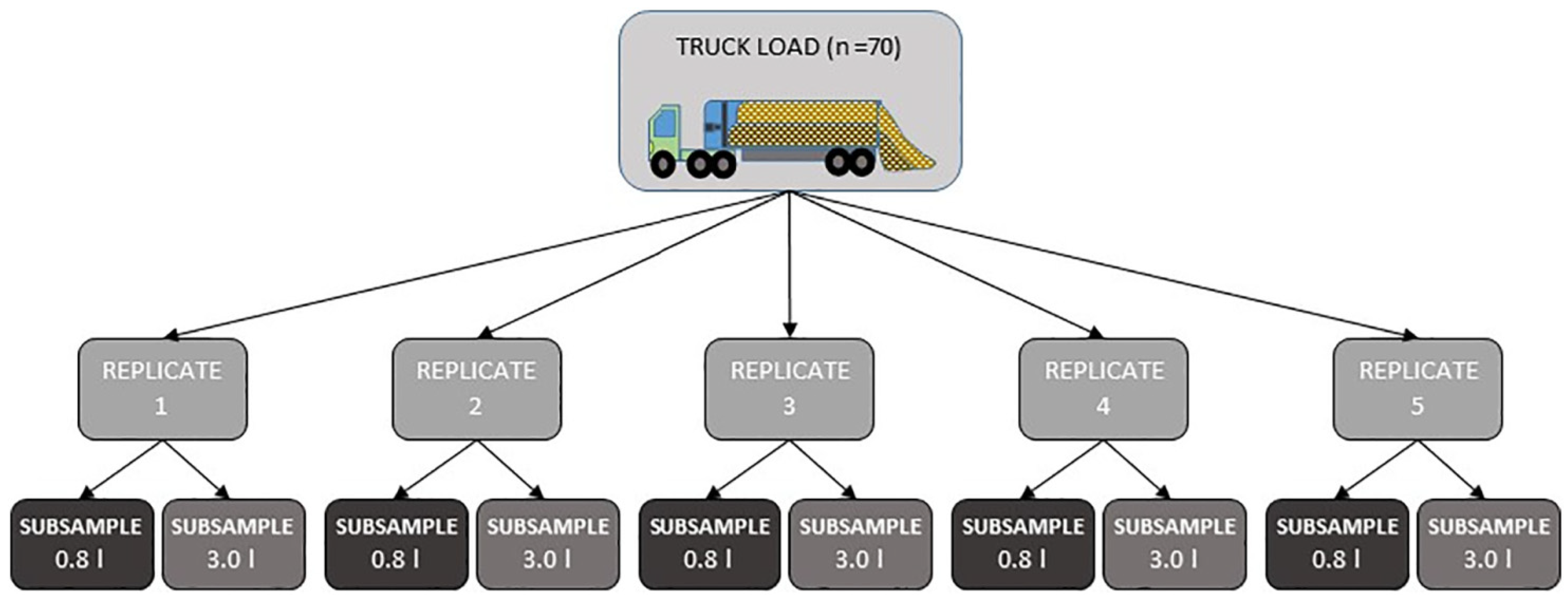 Processes 09 00359 g002