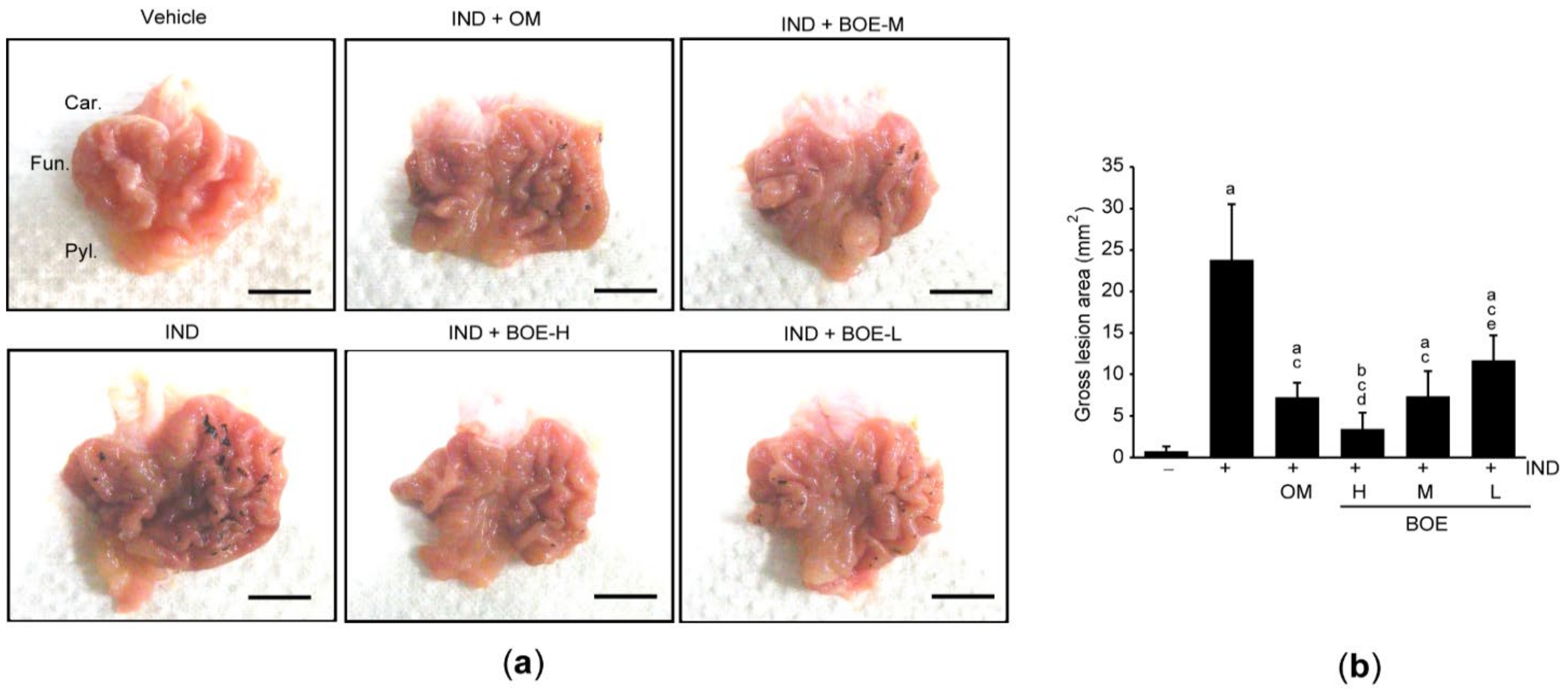 Processes 09 00372 g001 Processes 09 00372 g001