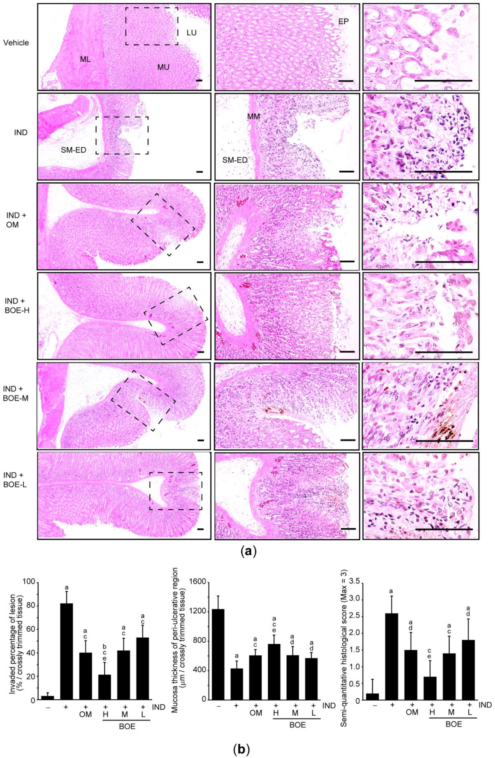 Processes 09 00372 g002 Processes 09 00372 g002