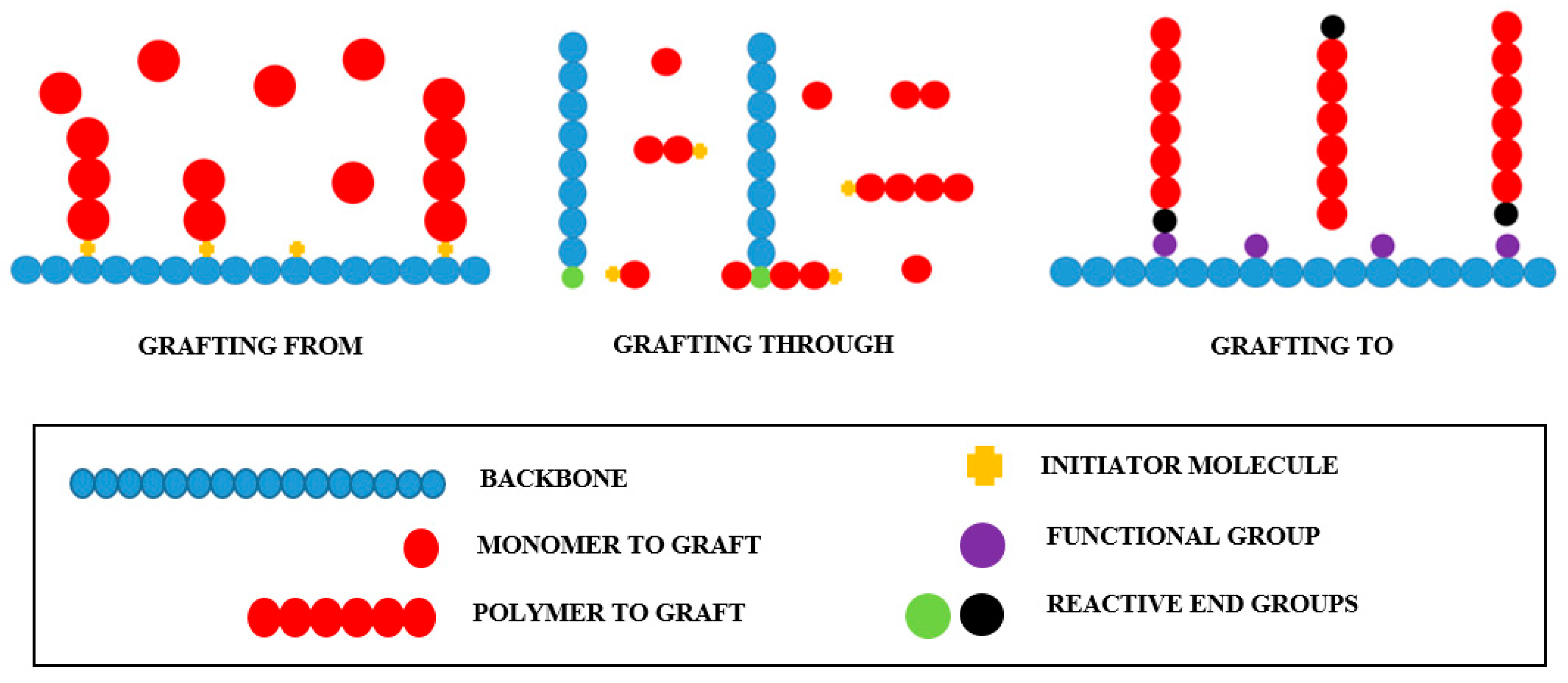 Processes 09 00375 g001 Processes 09 00375 g001