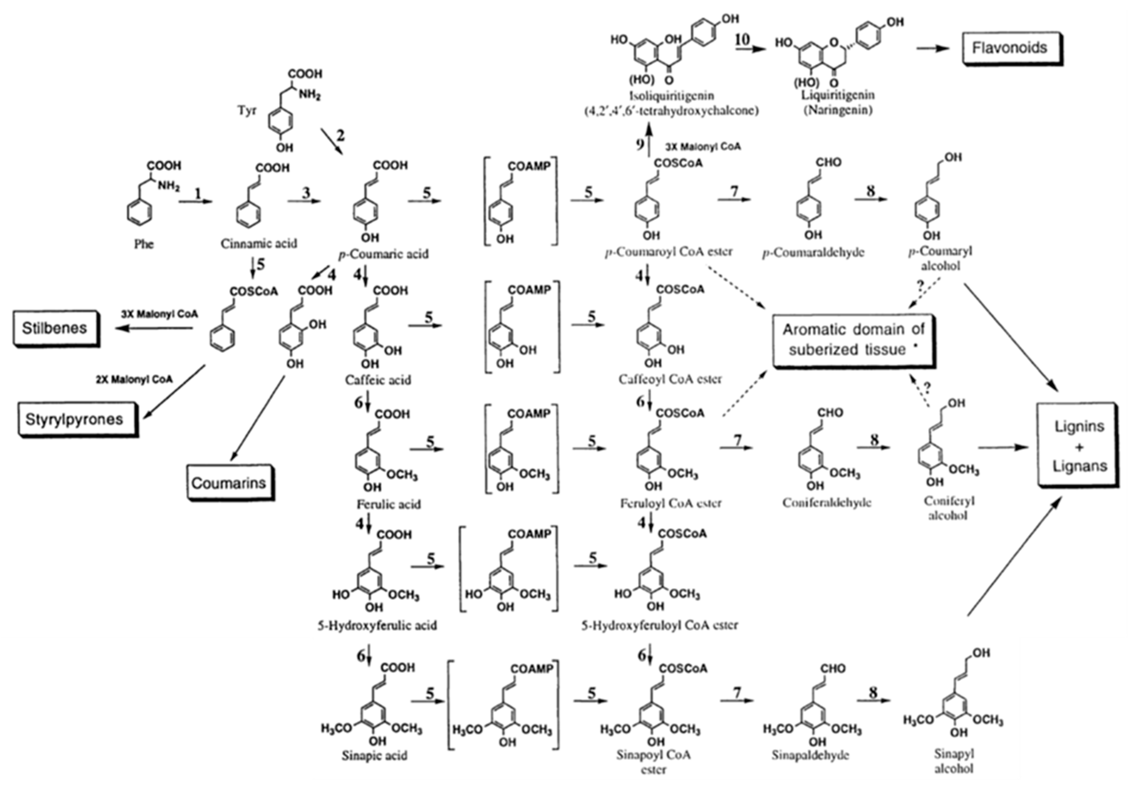 Processes 09 00375 g003 Processes 09 00375 g003