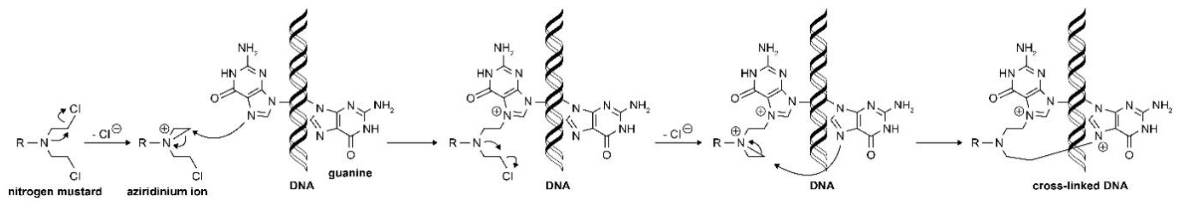 Processes 09 00377 g002