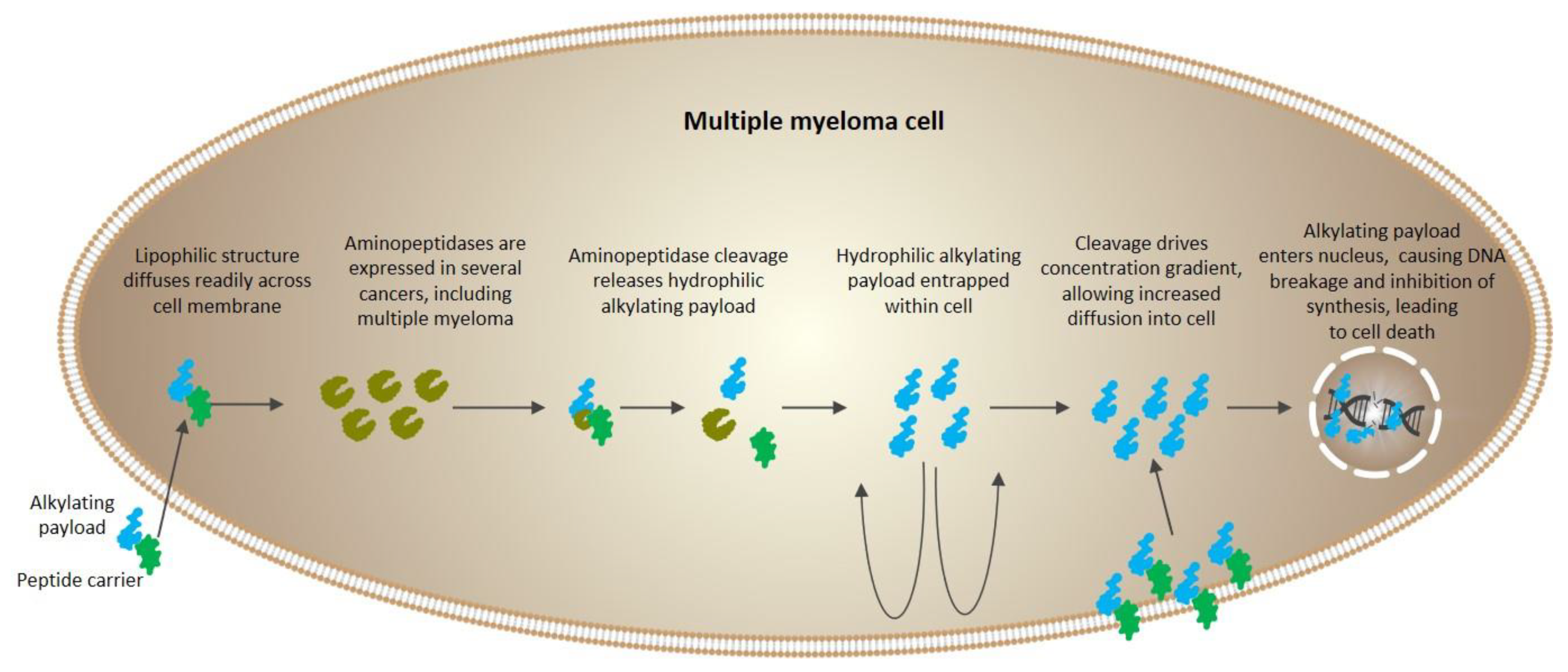 Processes 09 00377 g004