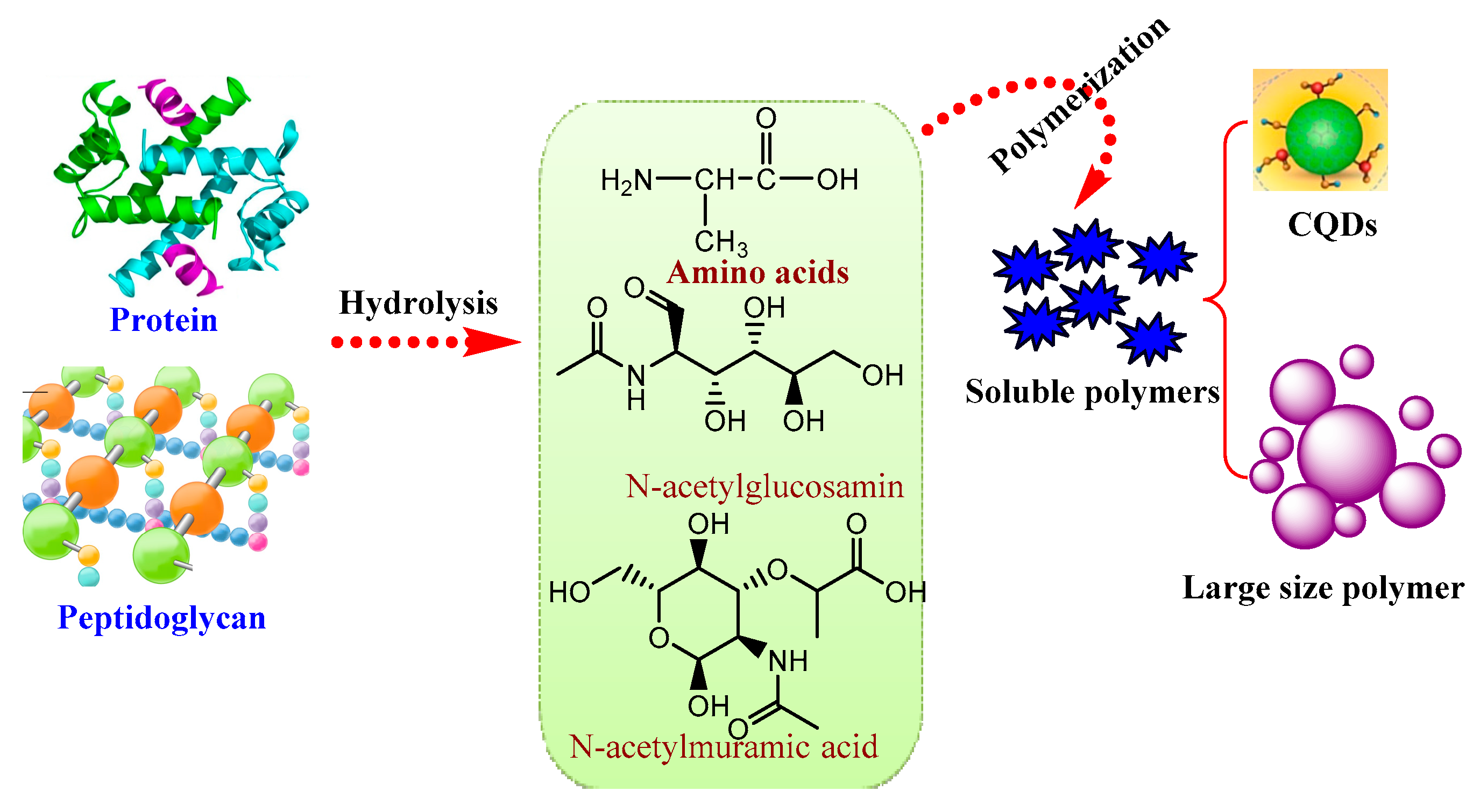 Processes 09 00388 g007 Processes 09 00388 g007