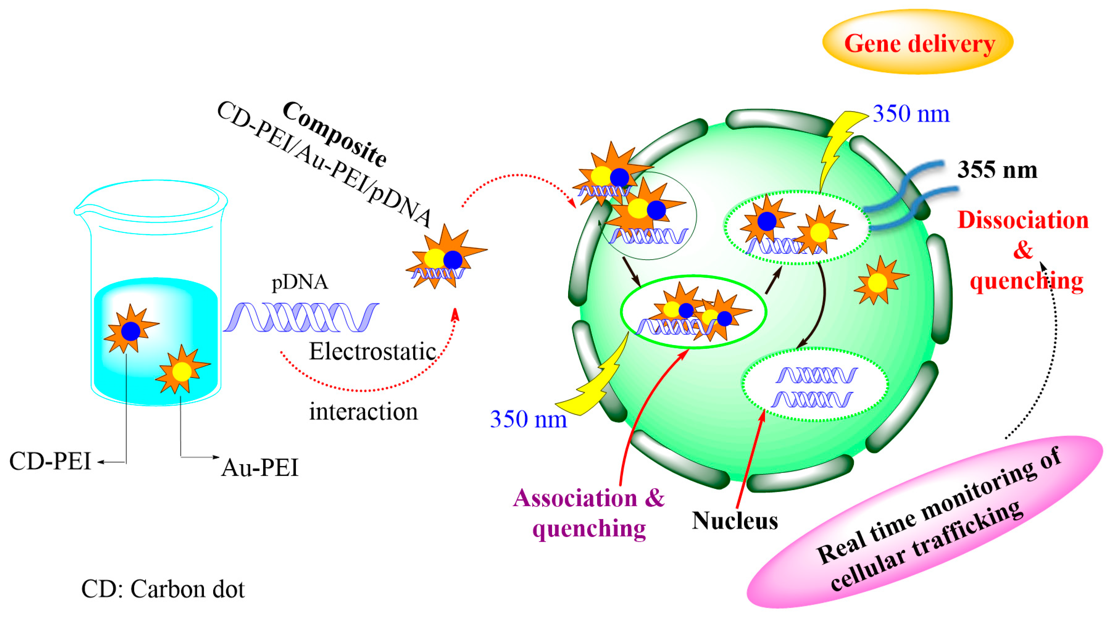 Processes 09 00388 g011 Processes 09 00388 g011
