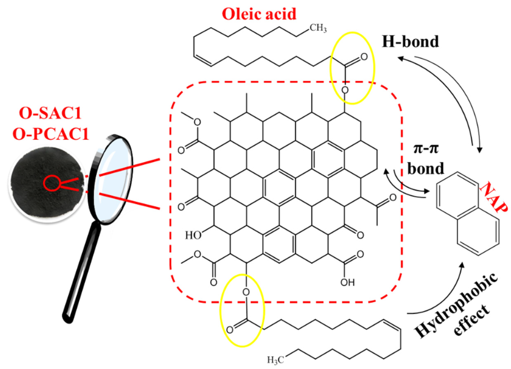Processes 09 00391 g005