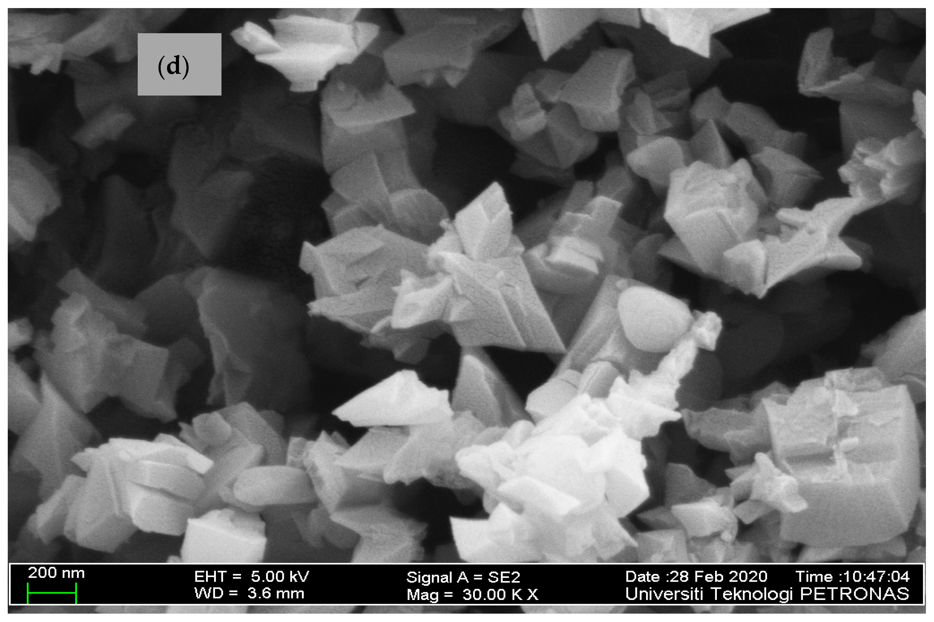 Processes 09 00419 g001b