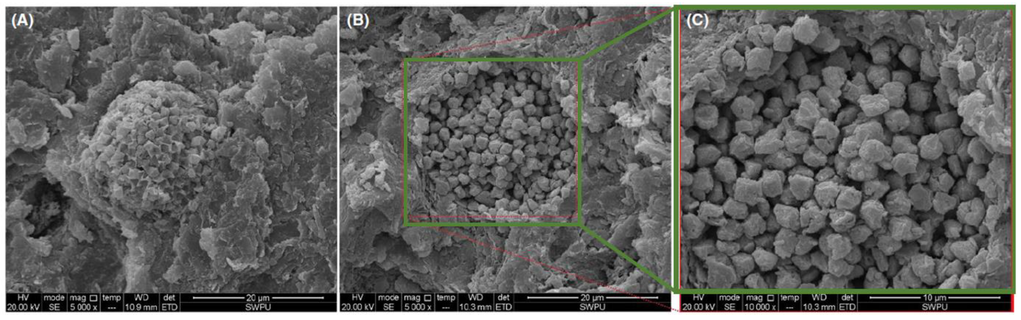 Processes 09 00420 g005 Processes 09 00420 g005