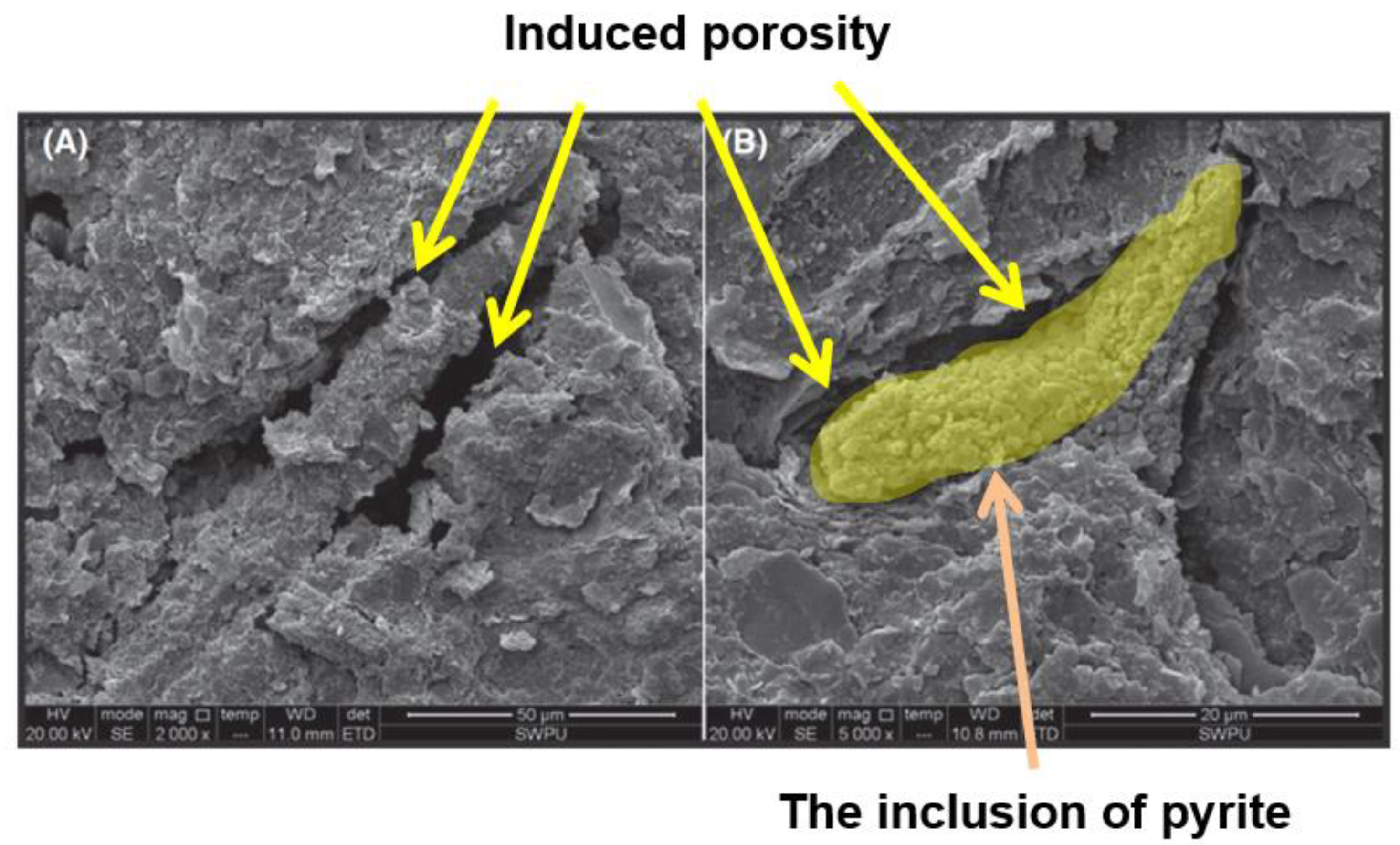 Processes 09 00420 g006 Processes 09 00420 g006