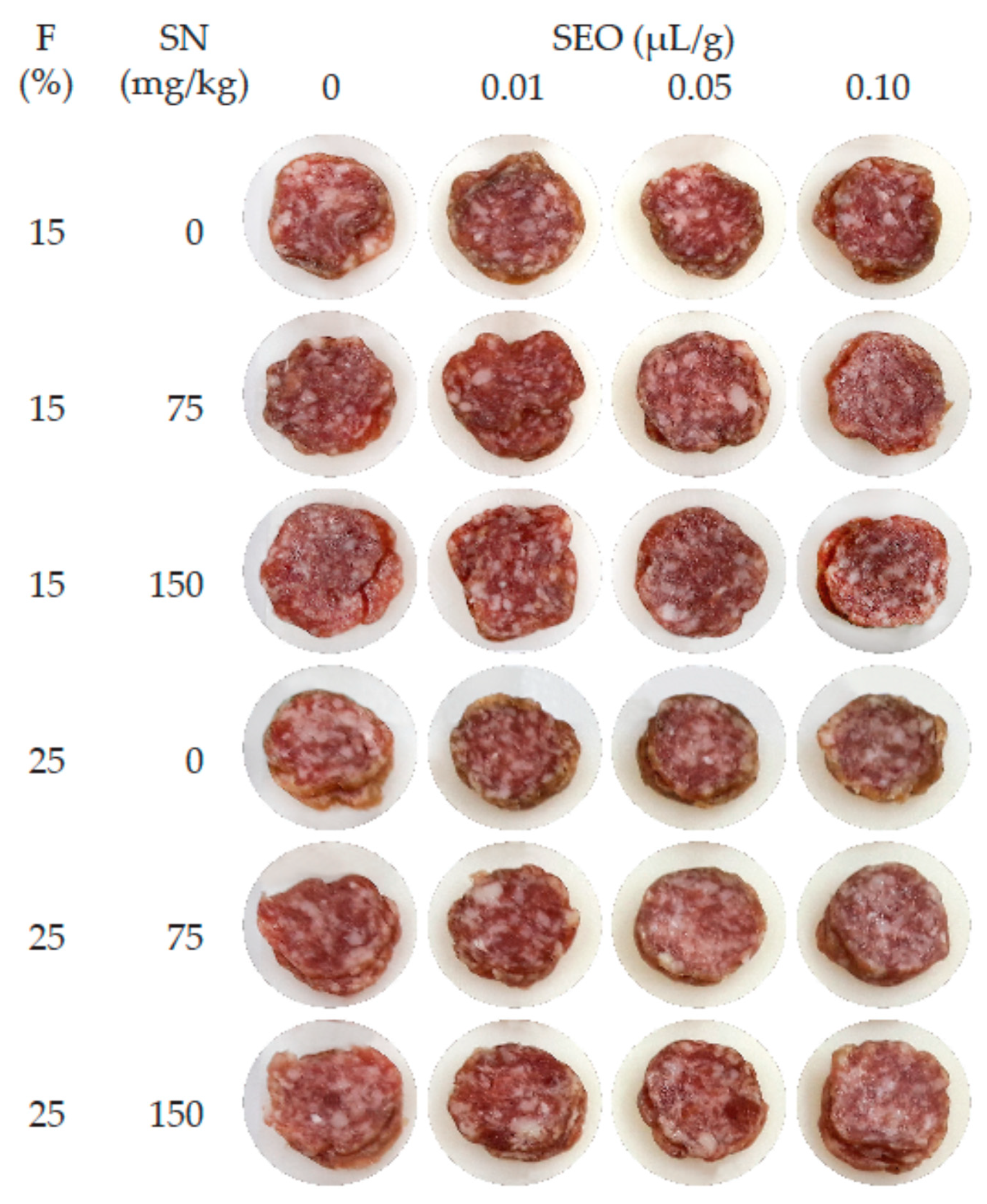 Processes 09 00424 g001