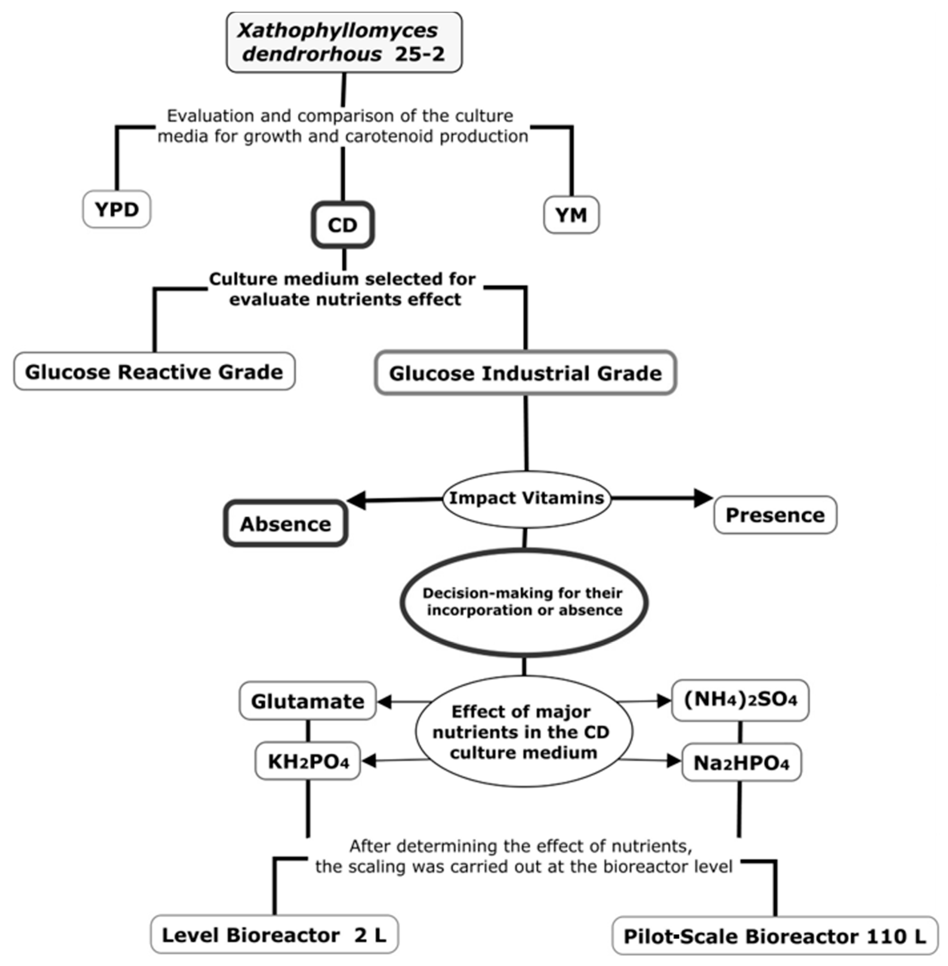 Processes 09 00429 g001