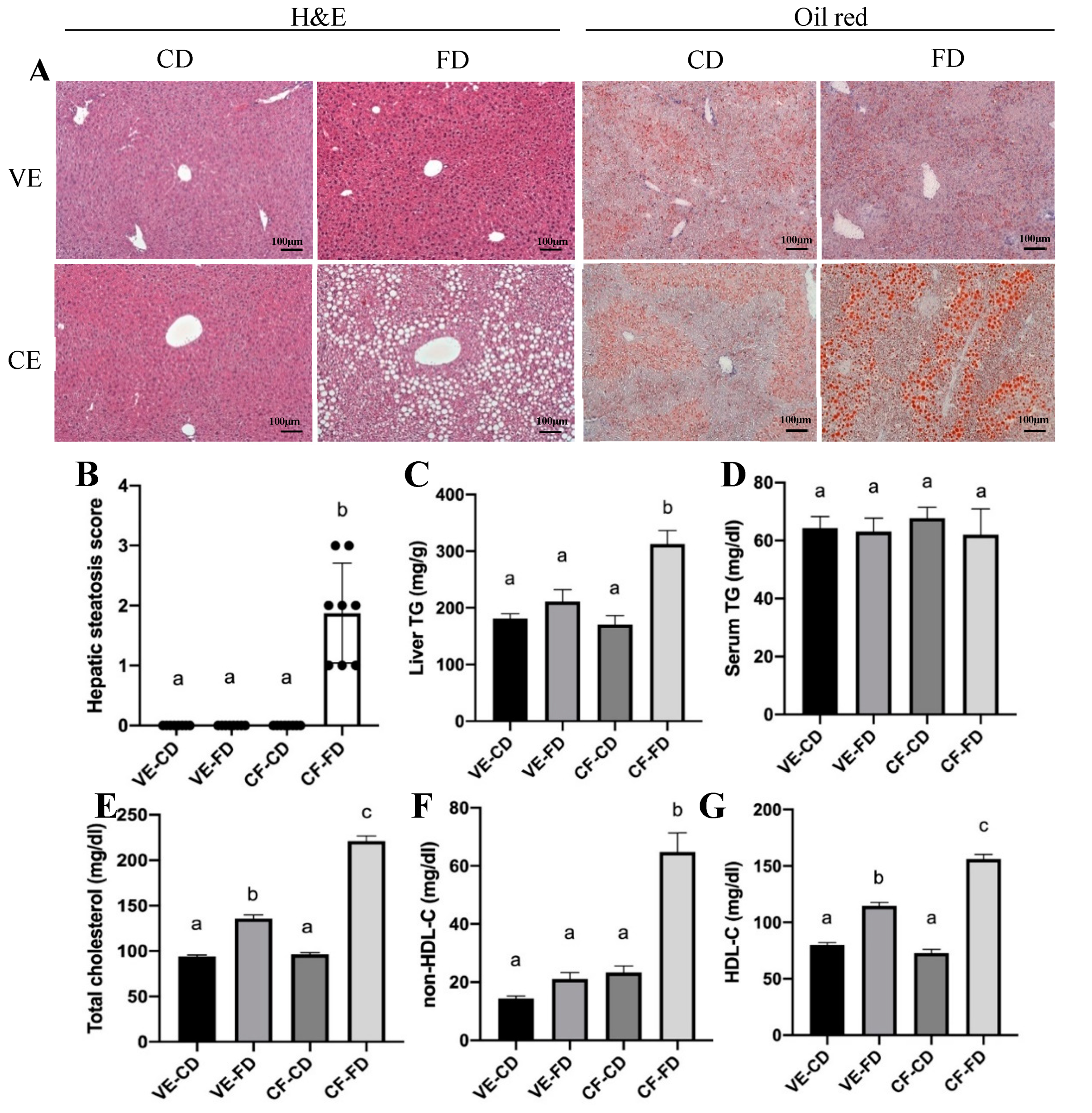 Processes 09 00434 g003 Processes 09 00434 g003
