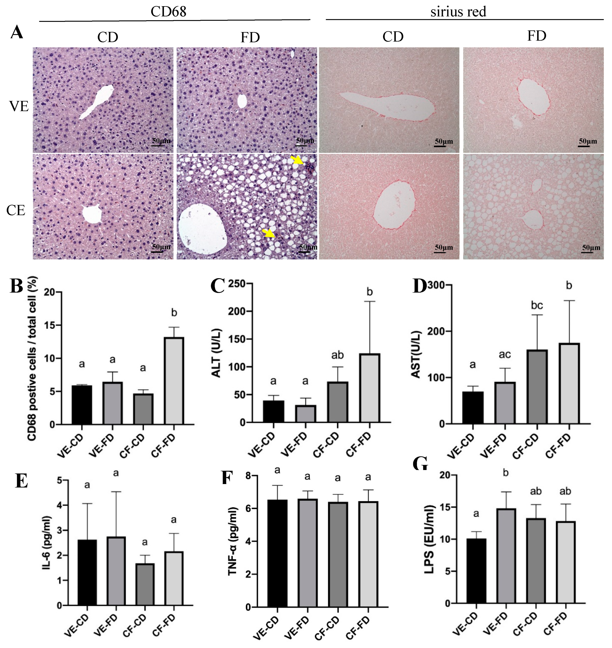 Processes 09 00434 g004 Processes 09 00434 g004