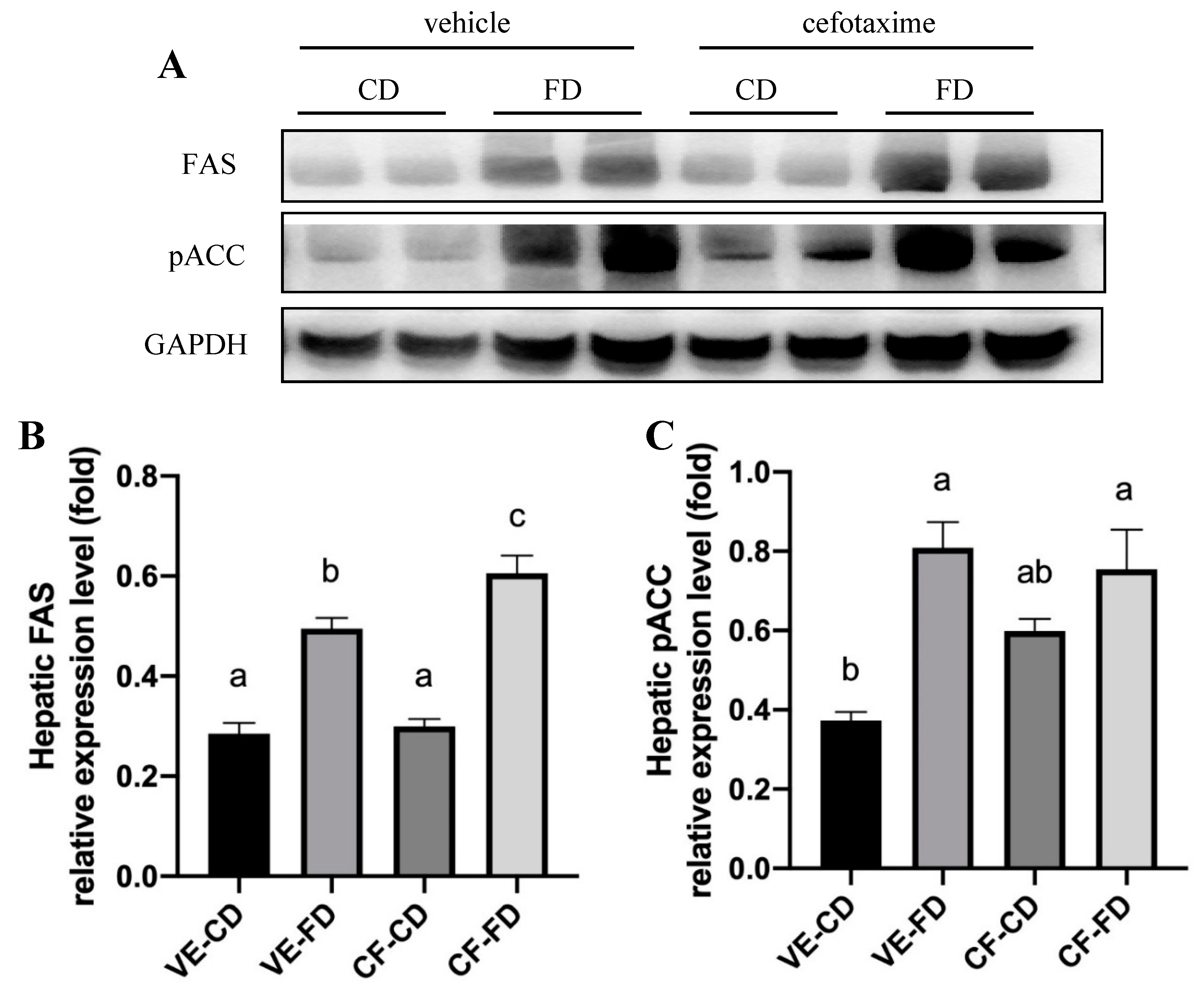 Processes 09 00434 g005 Processes 09 00434 g005