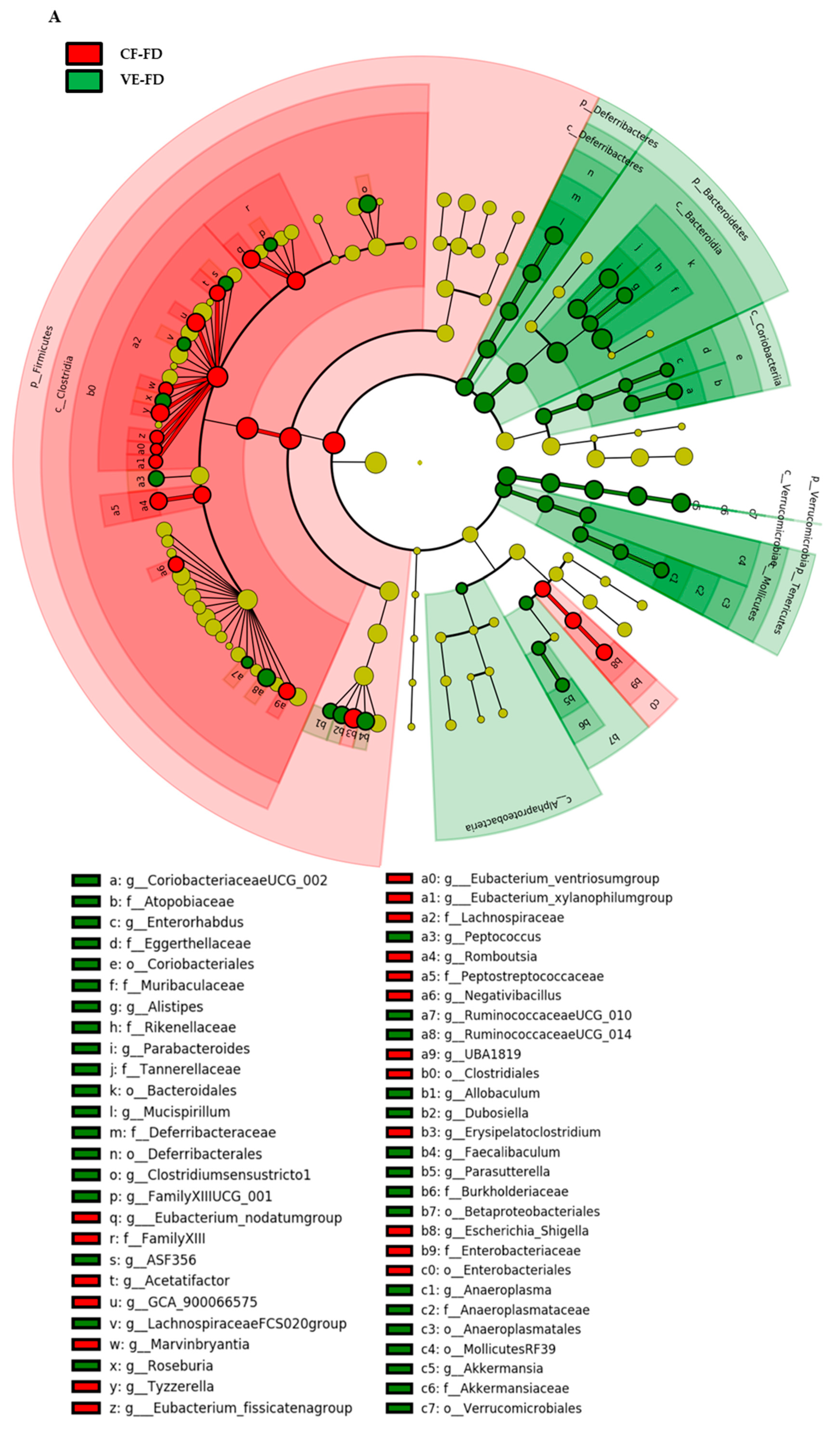 Processes 09 00434 g007a Processes 09 00434 g007a