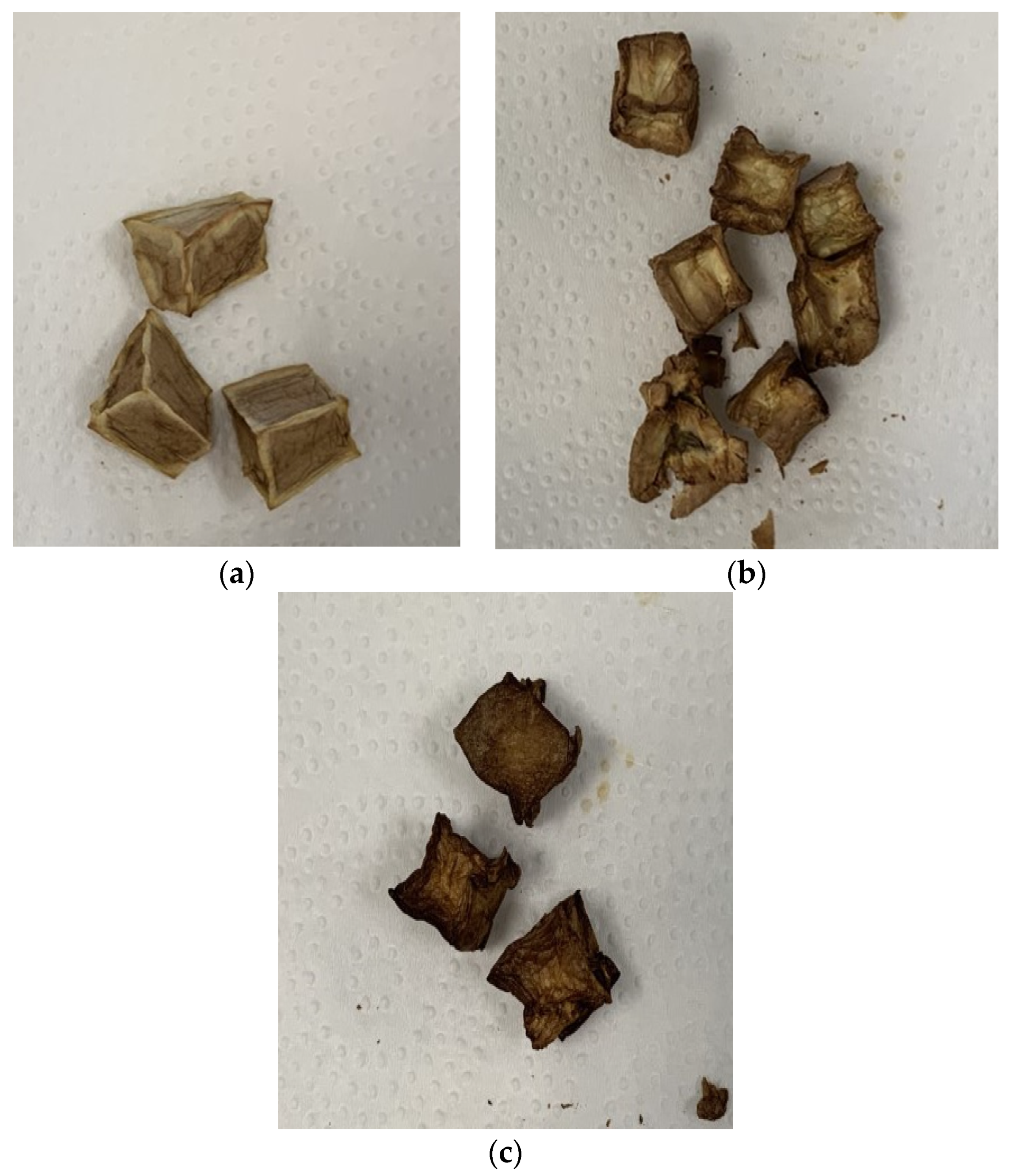 Processes 09 00435 g001