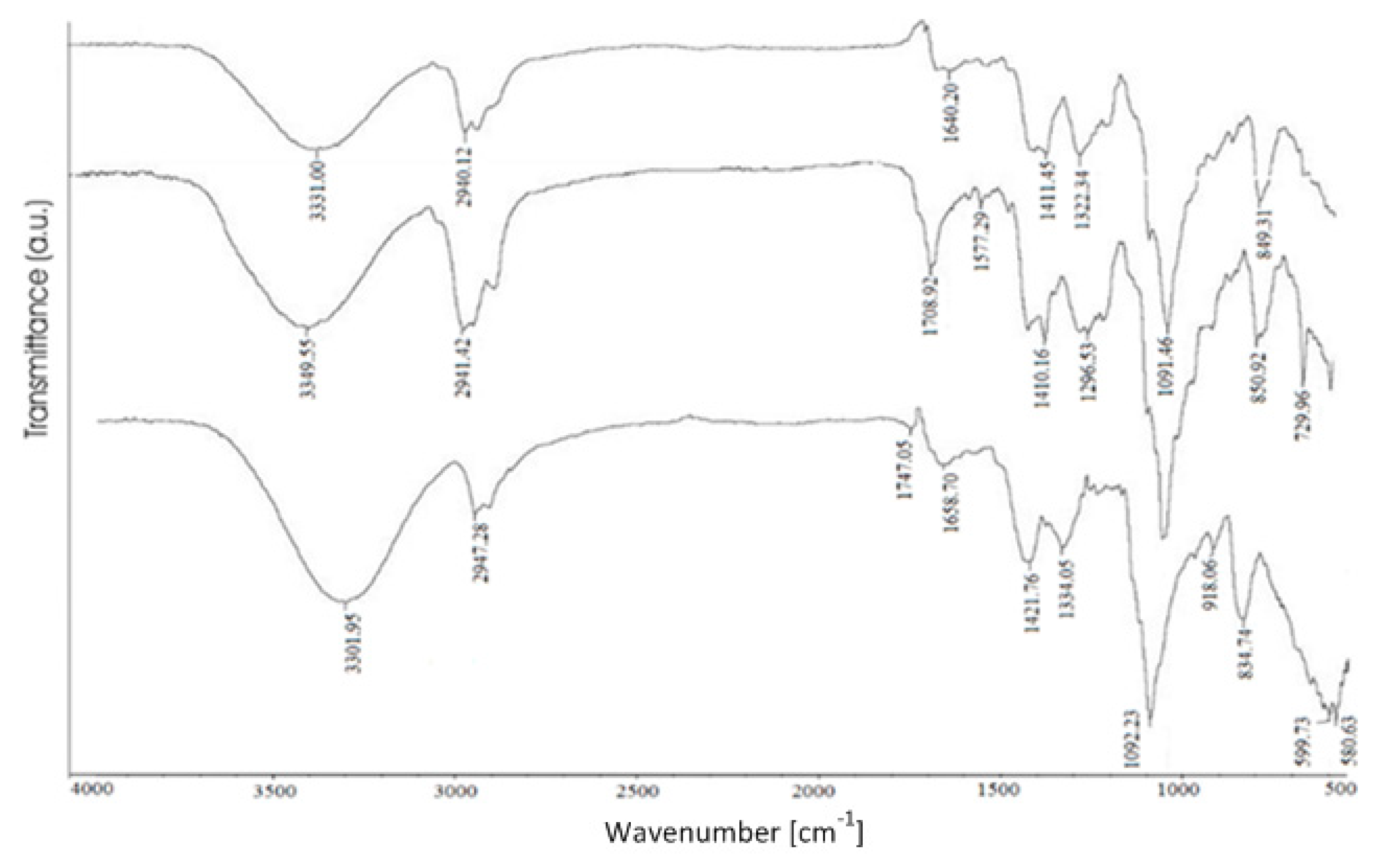 Processes 09 00437 g004