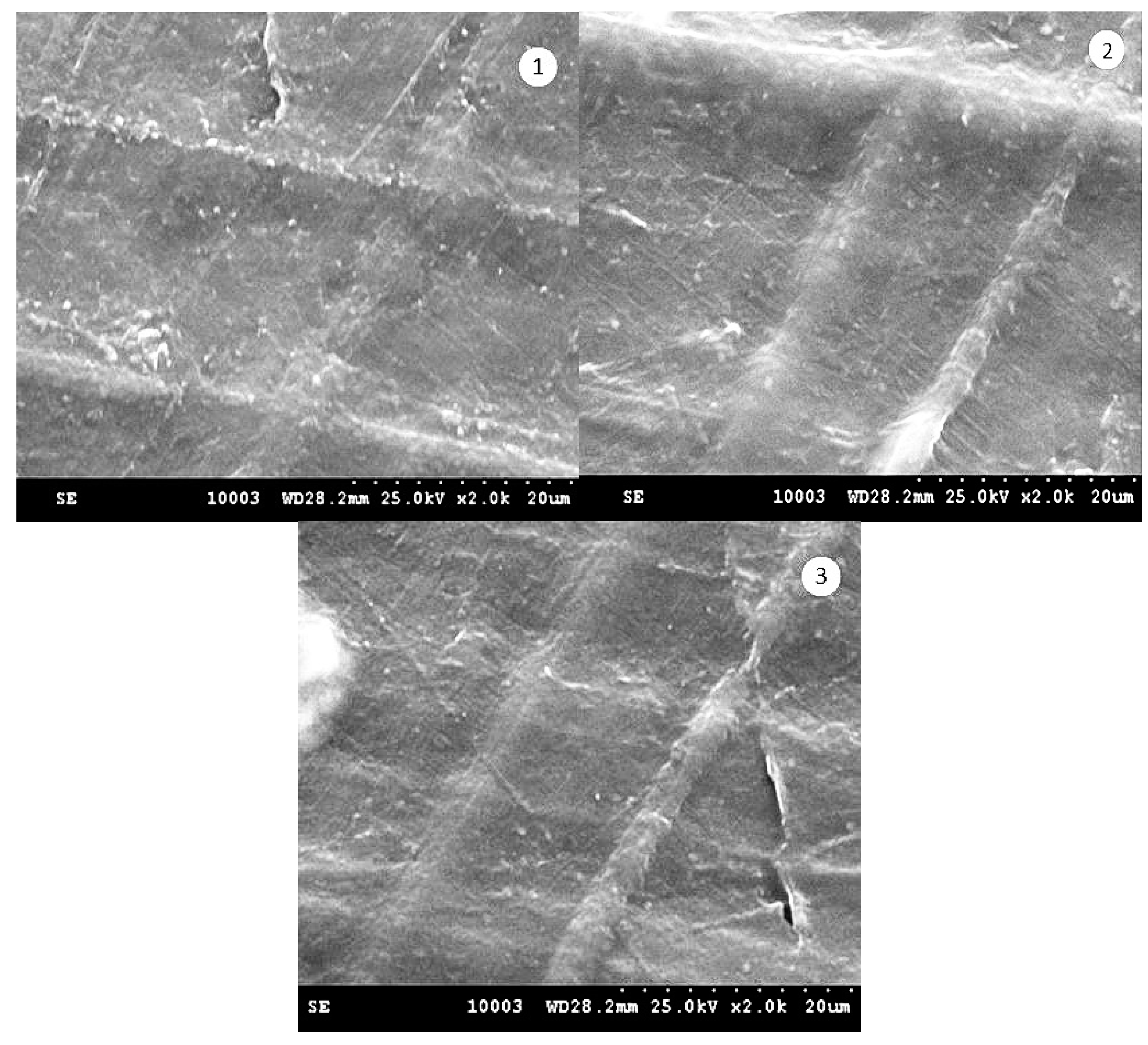 Processes 09 00437 g008