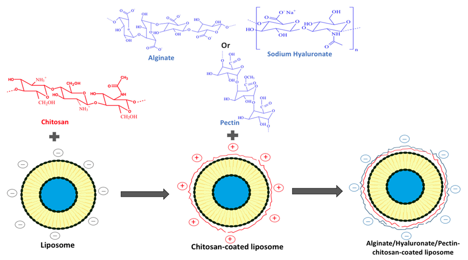 Processes 09 00445 g005 Processes 09 00445 g005