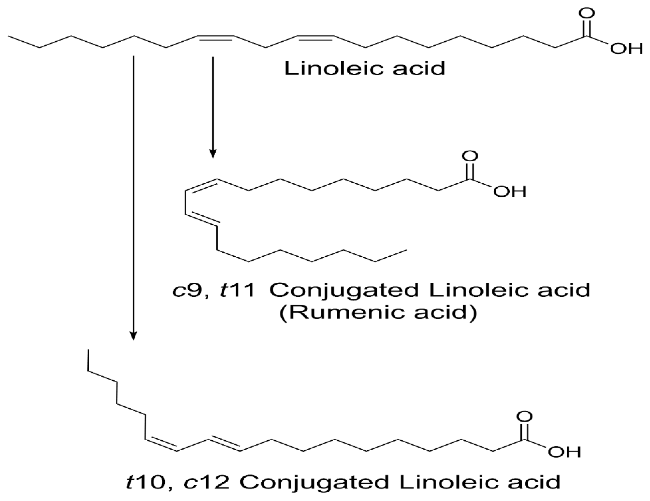 Linolenic Acid Structure linolenic-acid-structure
