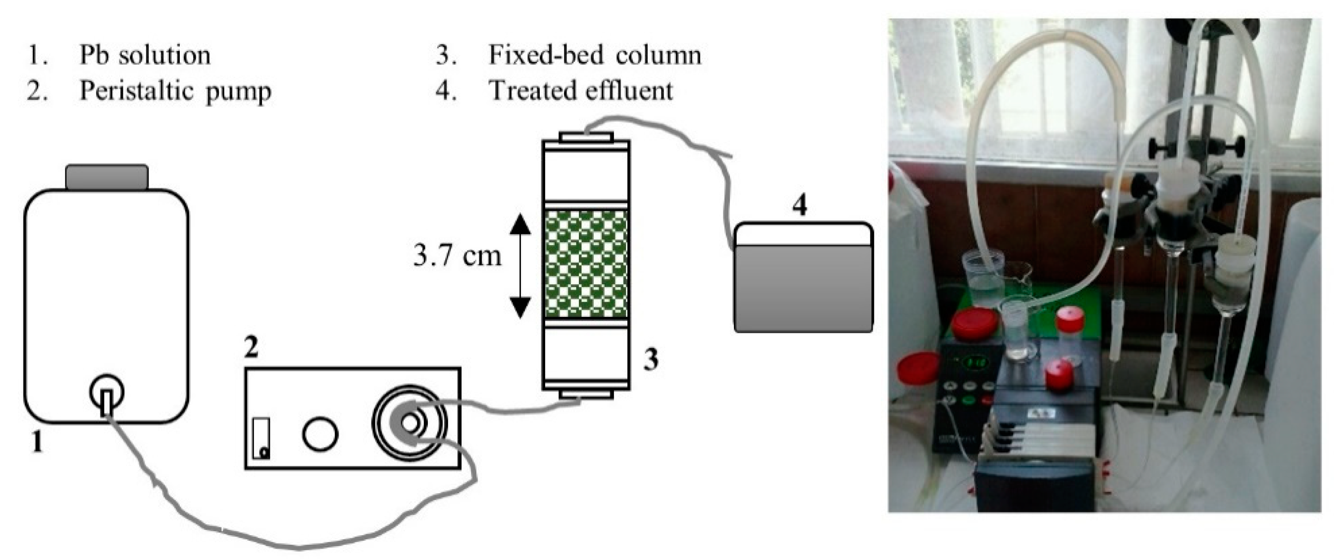 Processes 09 00466 g001 Processes 09 00466 g001