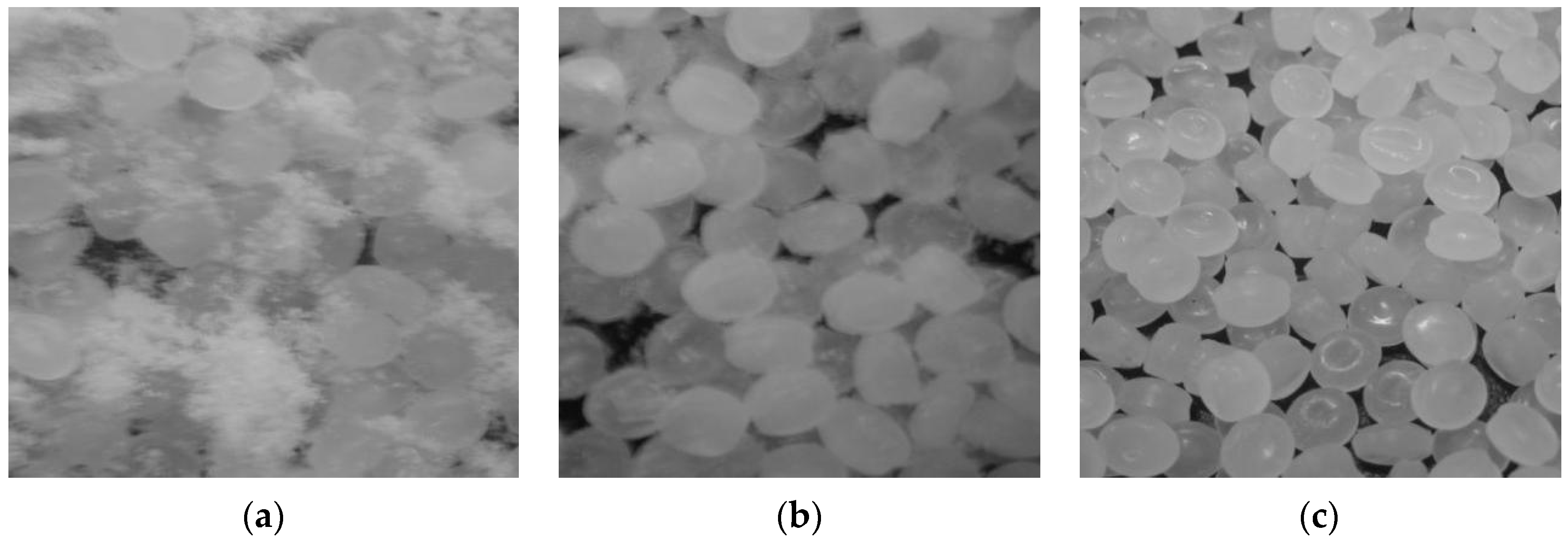 Processes 09 00478 g010 550