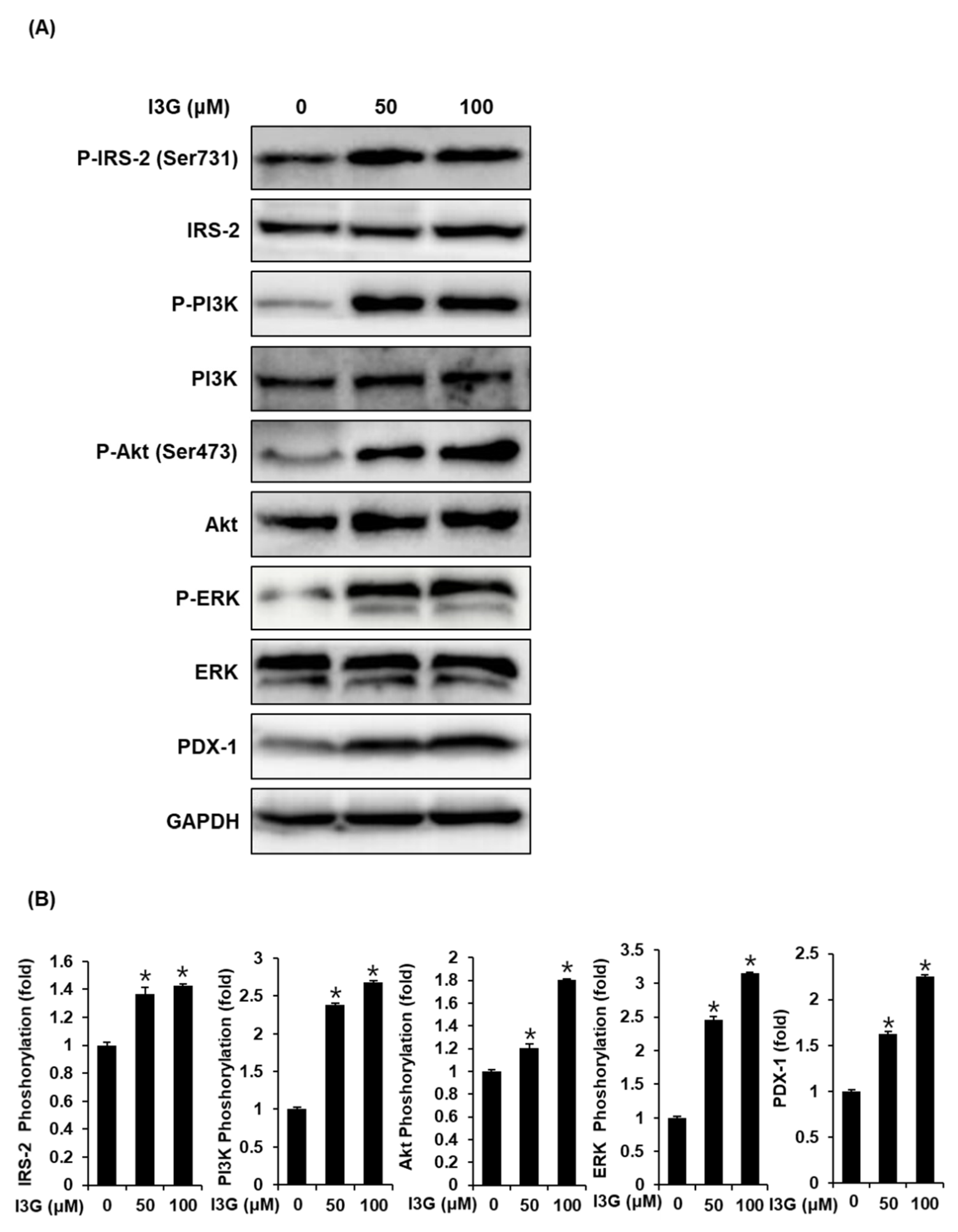 Processes 09 00483 g004 Processes 09 00483 g004