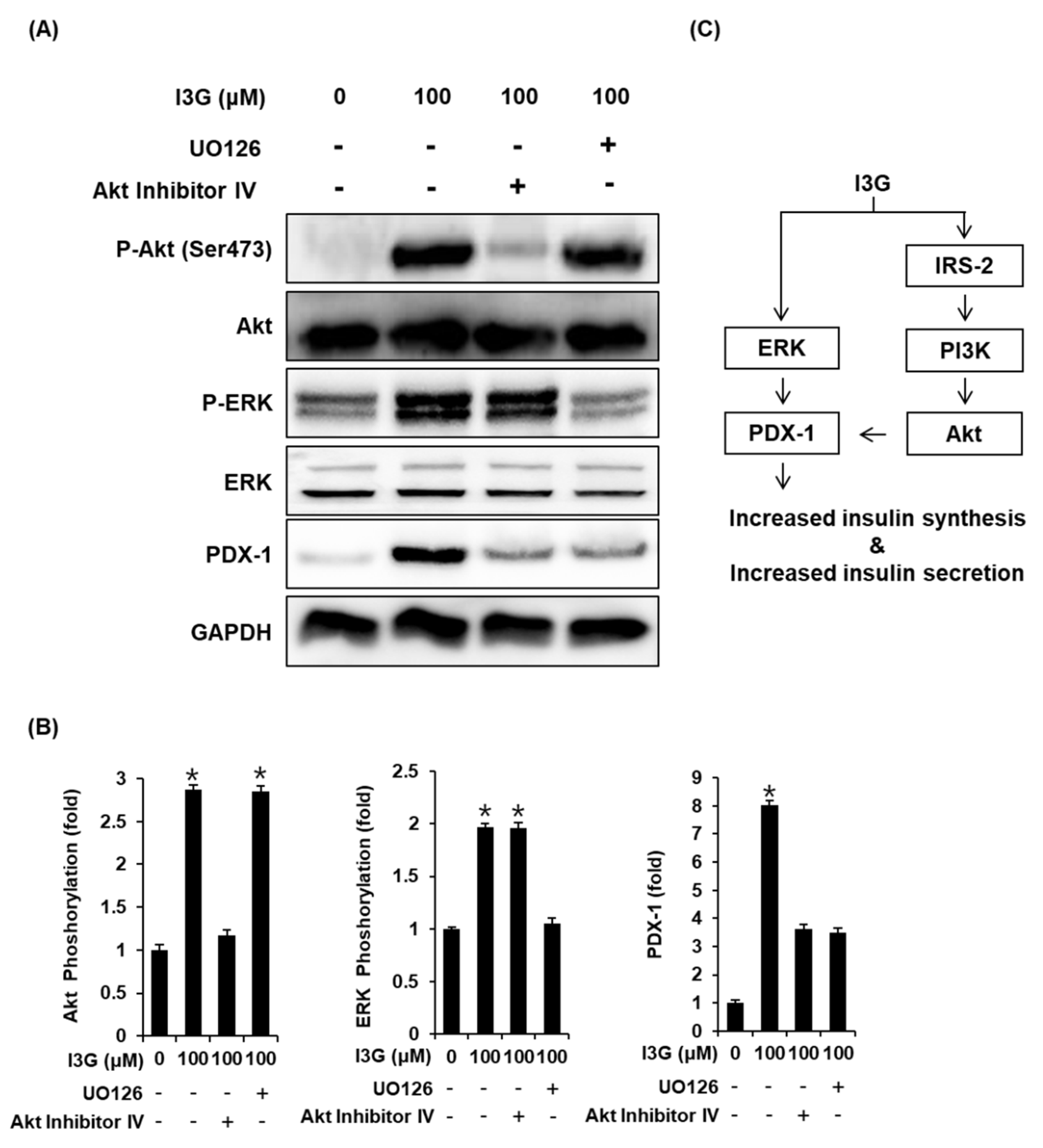 Processes 09 00483 g005 Processes 09 00483 g005