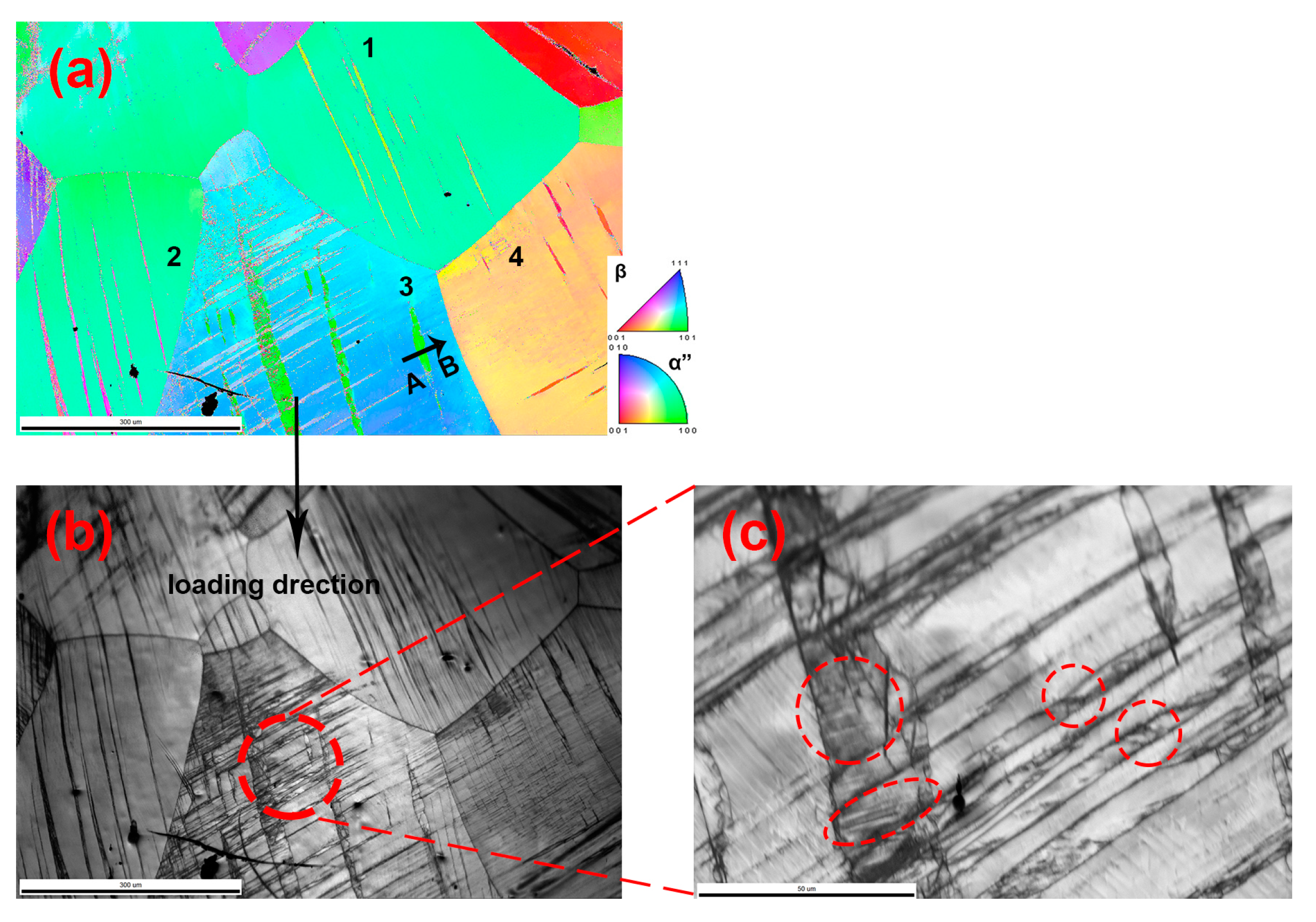 Processes 09 00484 g006