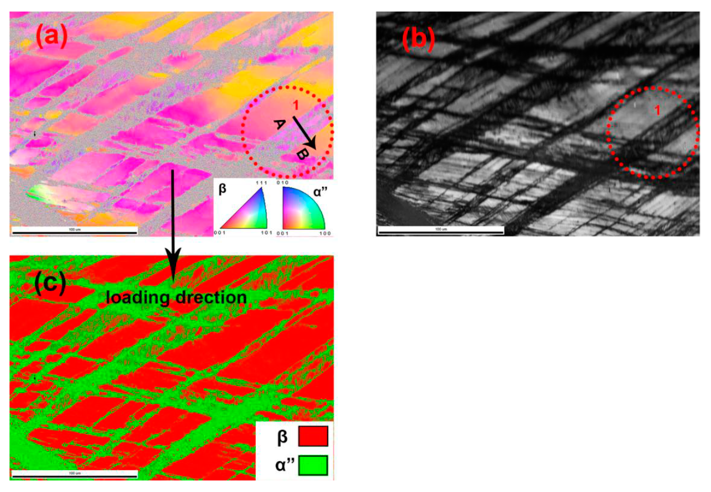 Processes 09 00484 g009