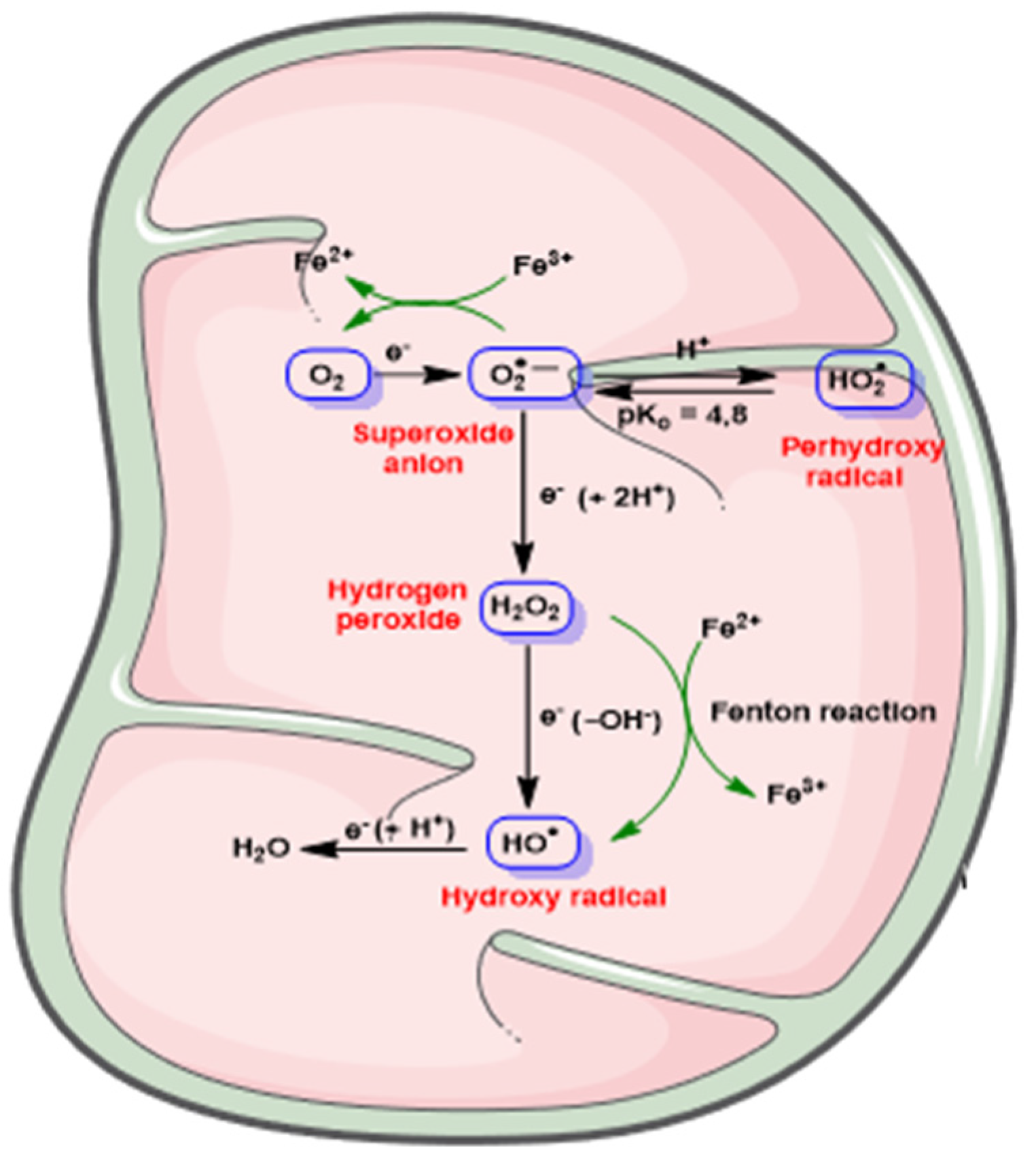 Processes 09 00506 g001
