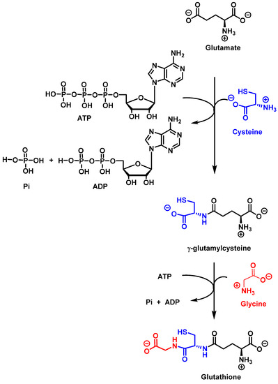 active white glutathione capsule ACTIVE WHITE SKIN WHITENING CAPSULES SKIN FAIRNESS, Brightness 60 Capsules