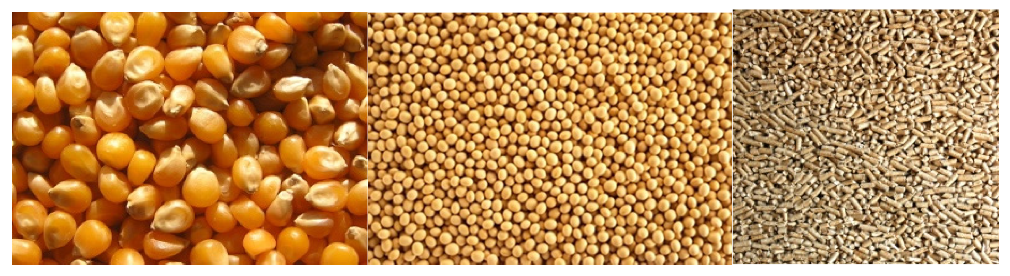 Processes 09 00533 g001 Processes 09 00533 g001