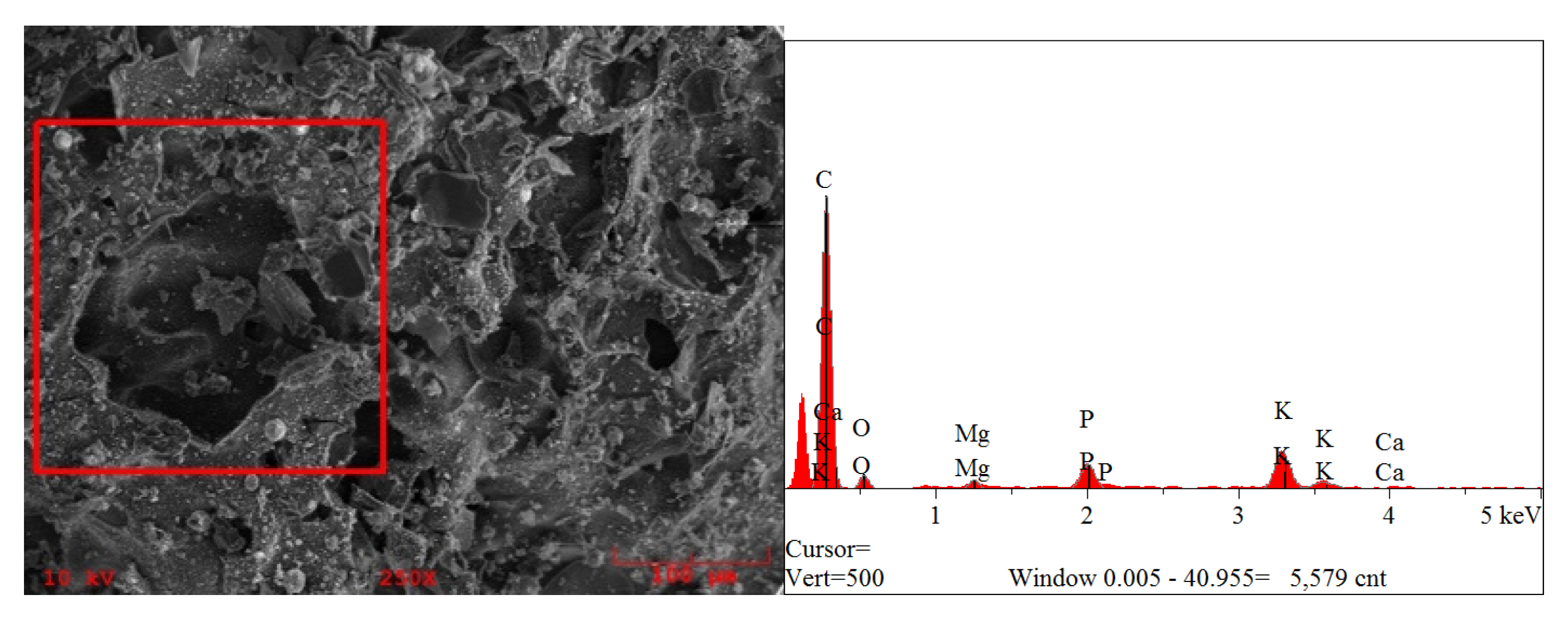Processes 09 00533 g004 Processes 09 00533 g004
