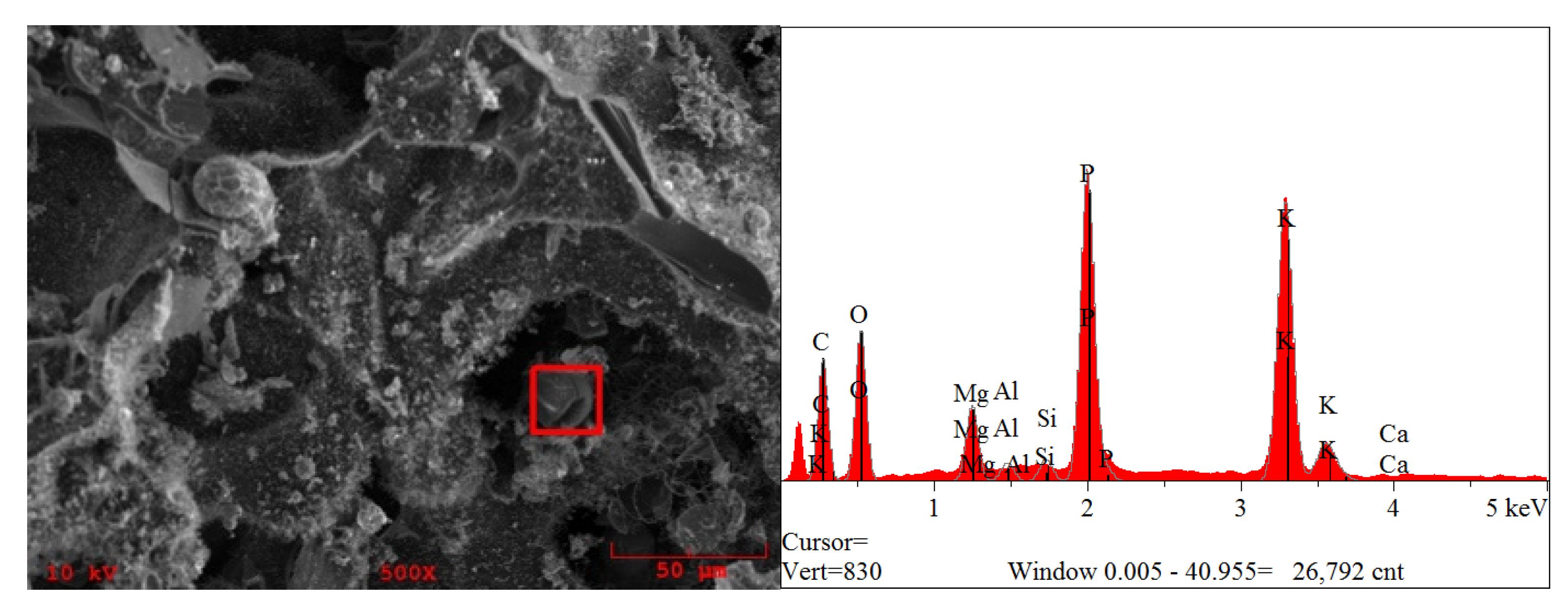 Processes 09 00533 g006 Processes 09 00533 g006