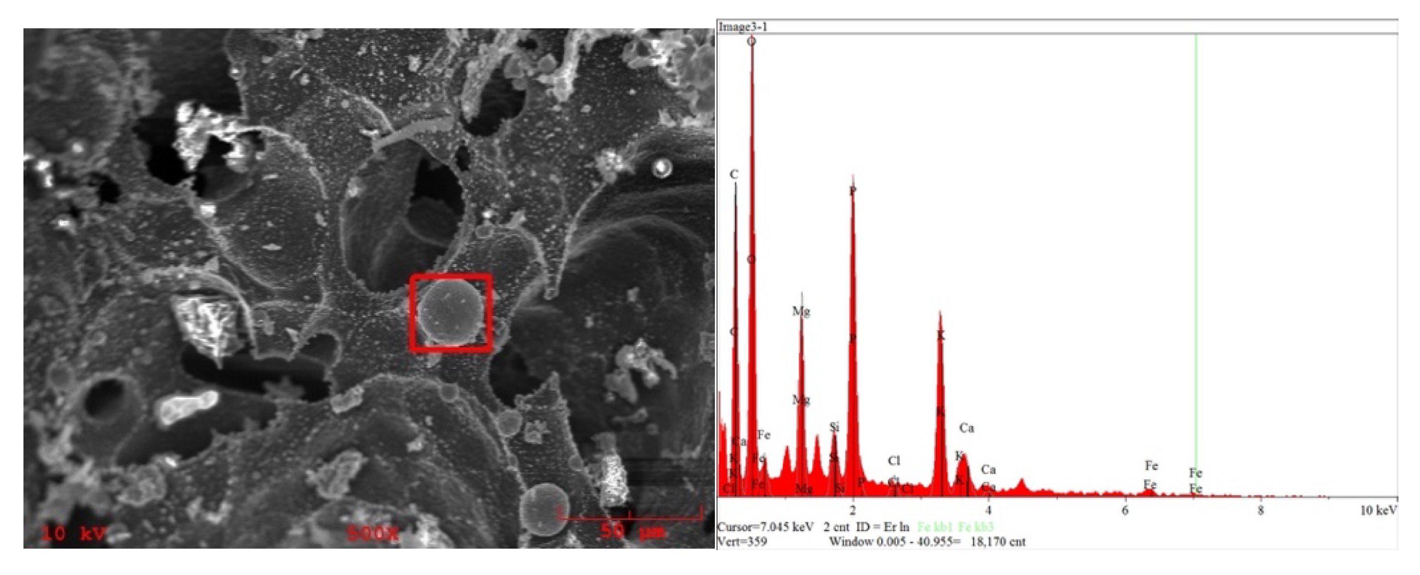 Processes 09 00533 g008 Processes 09 00533 g008