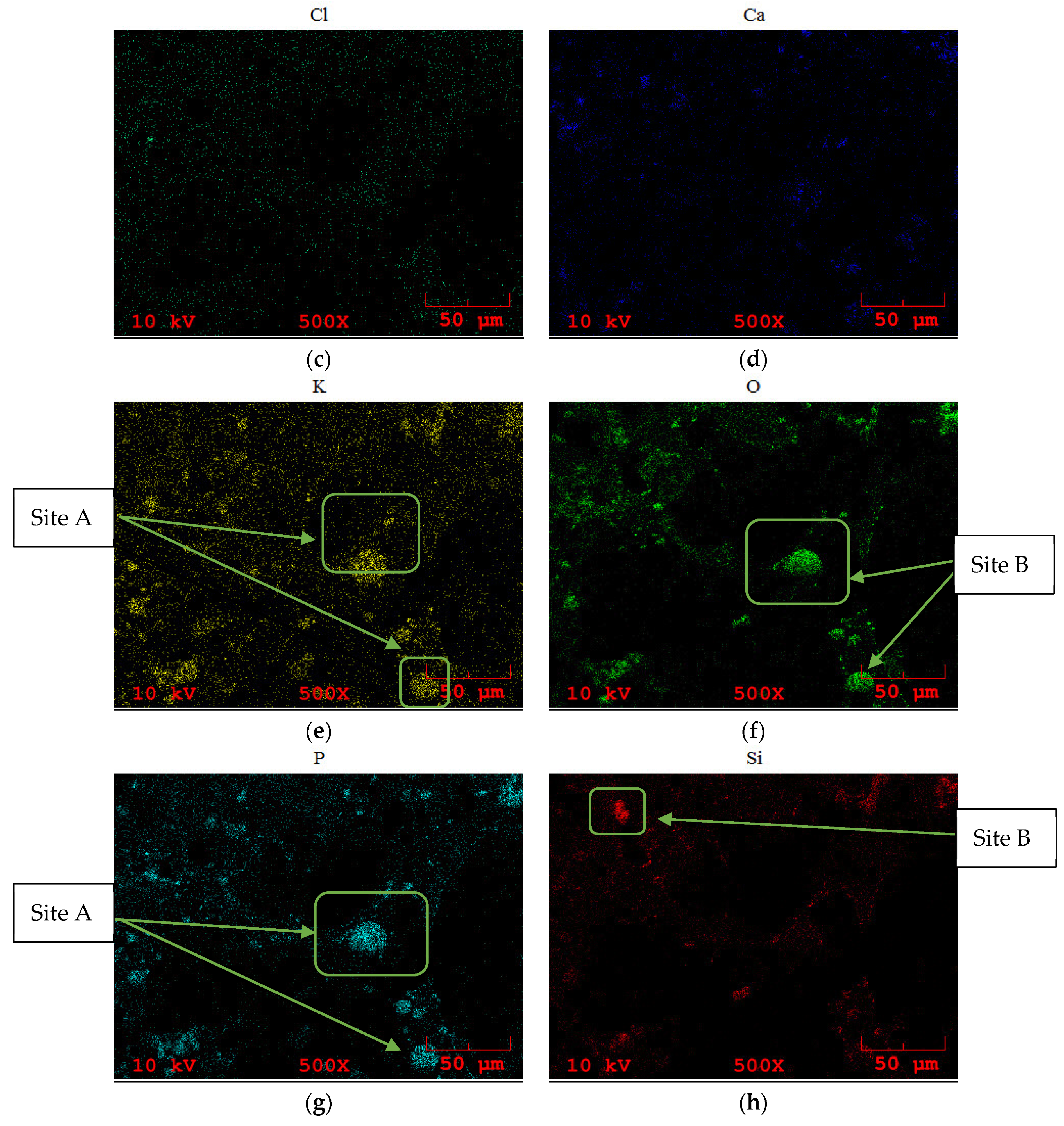 Processes 09 00533 g009b Processes 09 00533 g009b
