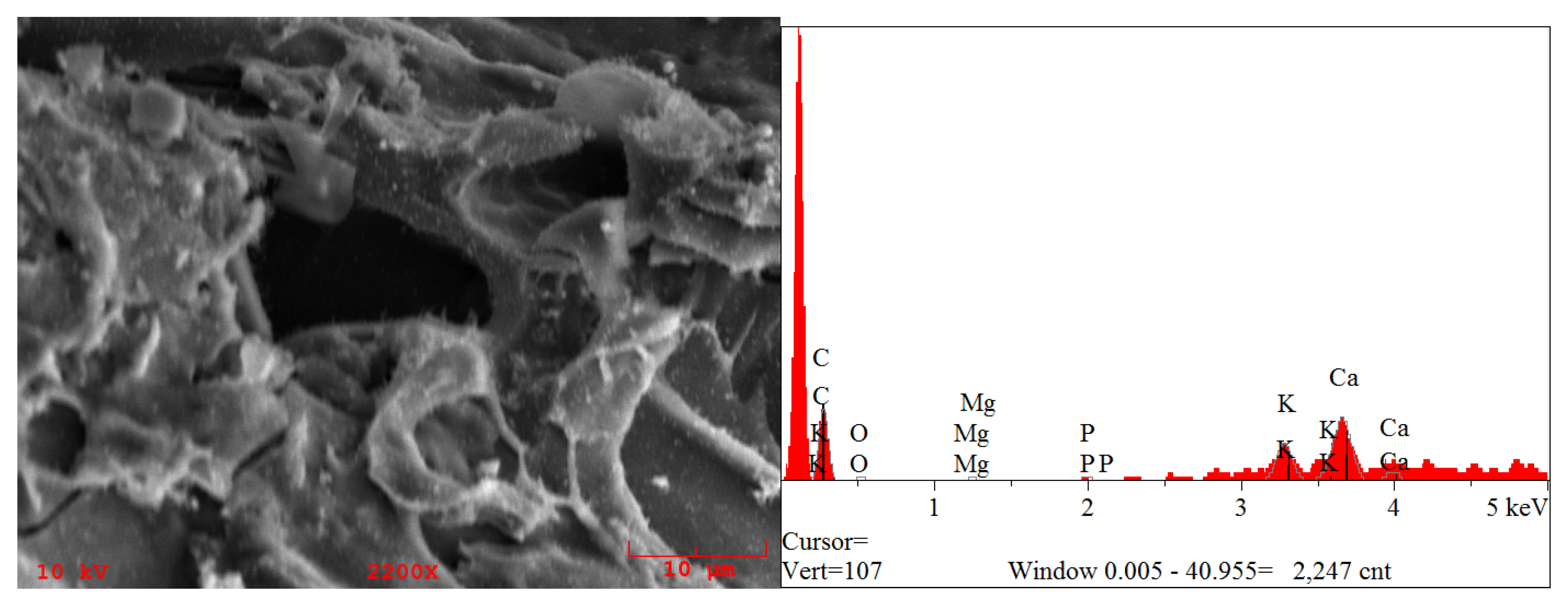 Processes 09 00533 g013 Processes 09 00533 g013