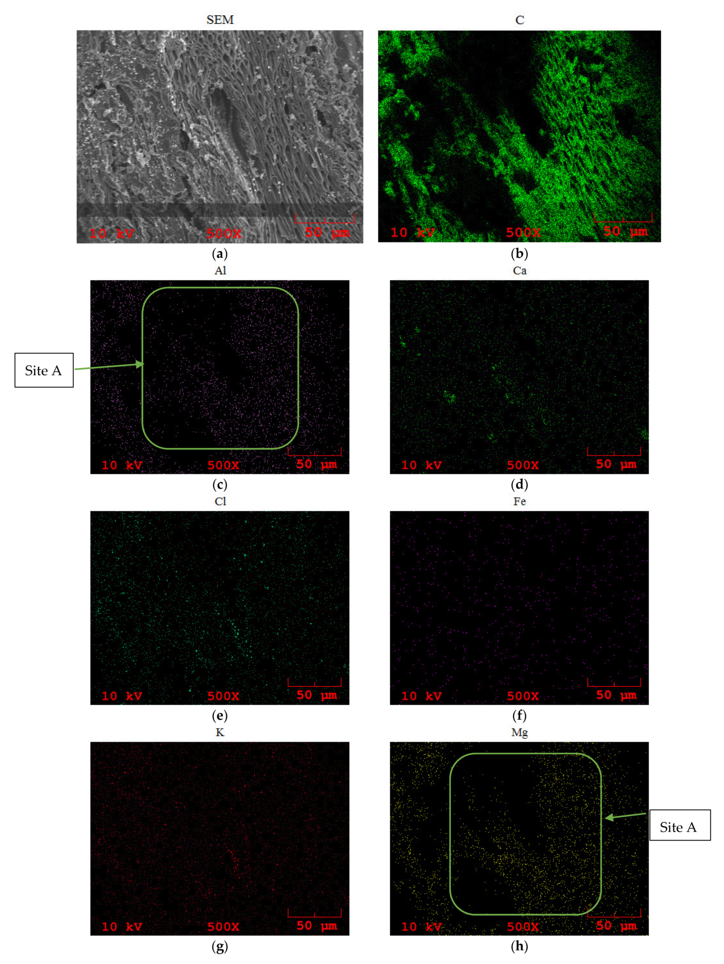 Processes 09 00533 g015a Processes 09 00533 g015a