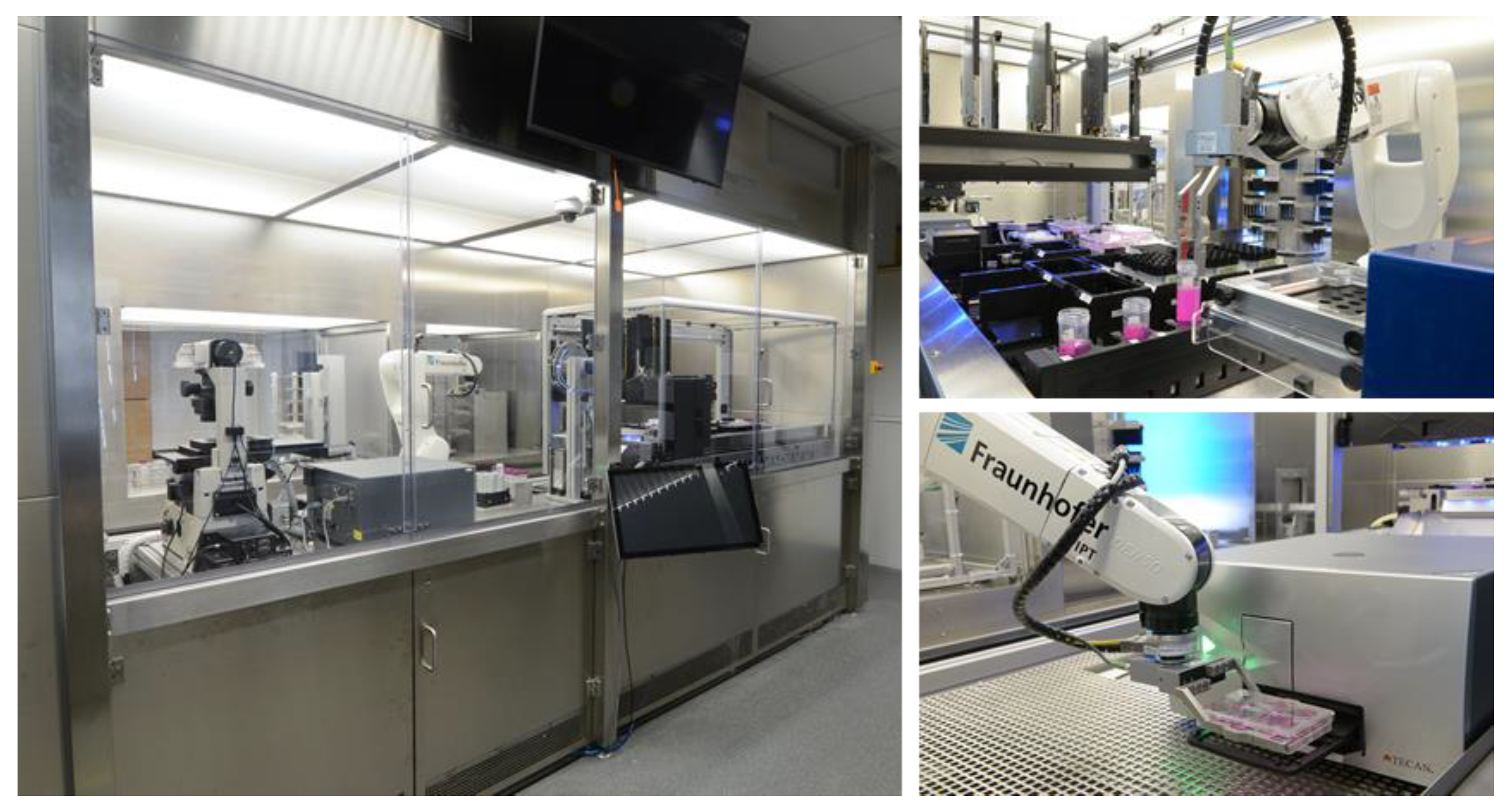 Processes 09 00575 g001