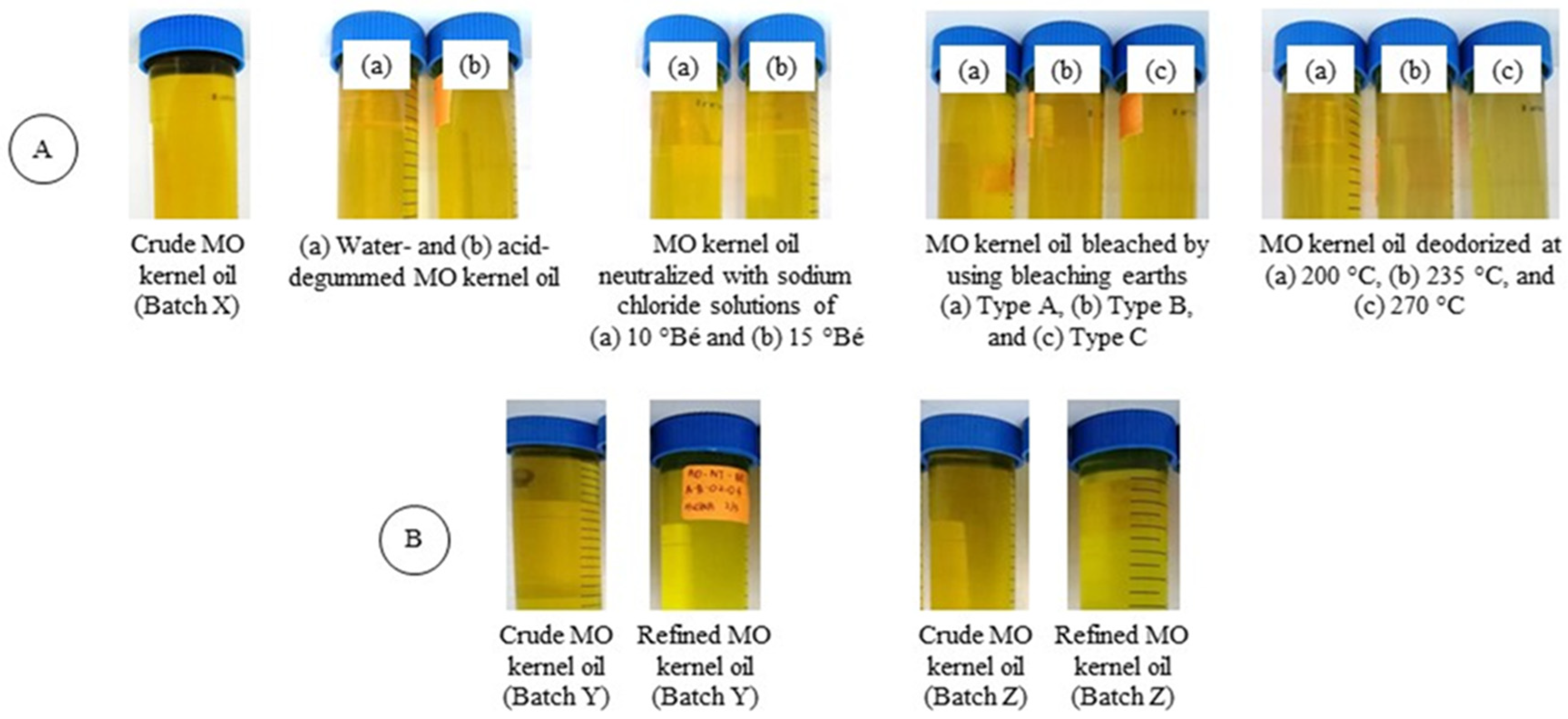 Processes 09 00579 g001