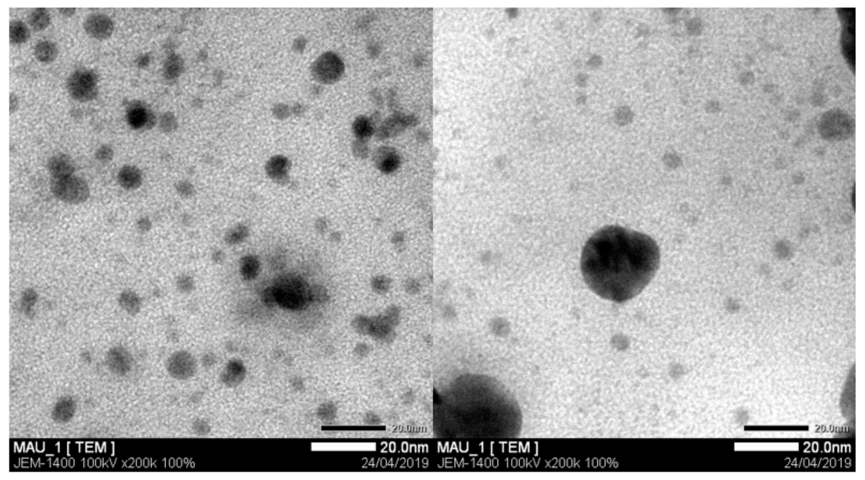 Processes 09 00584 g004