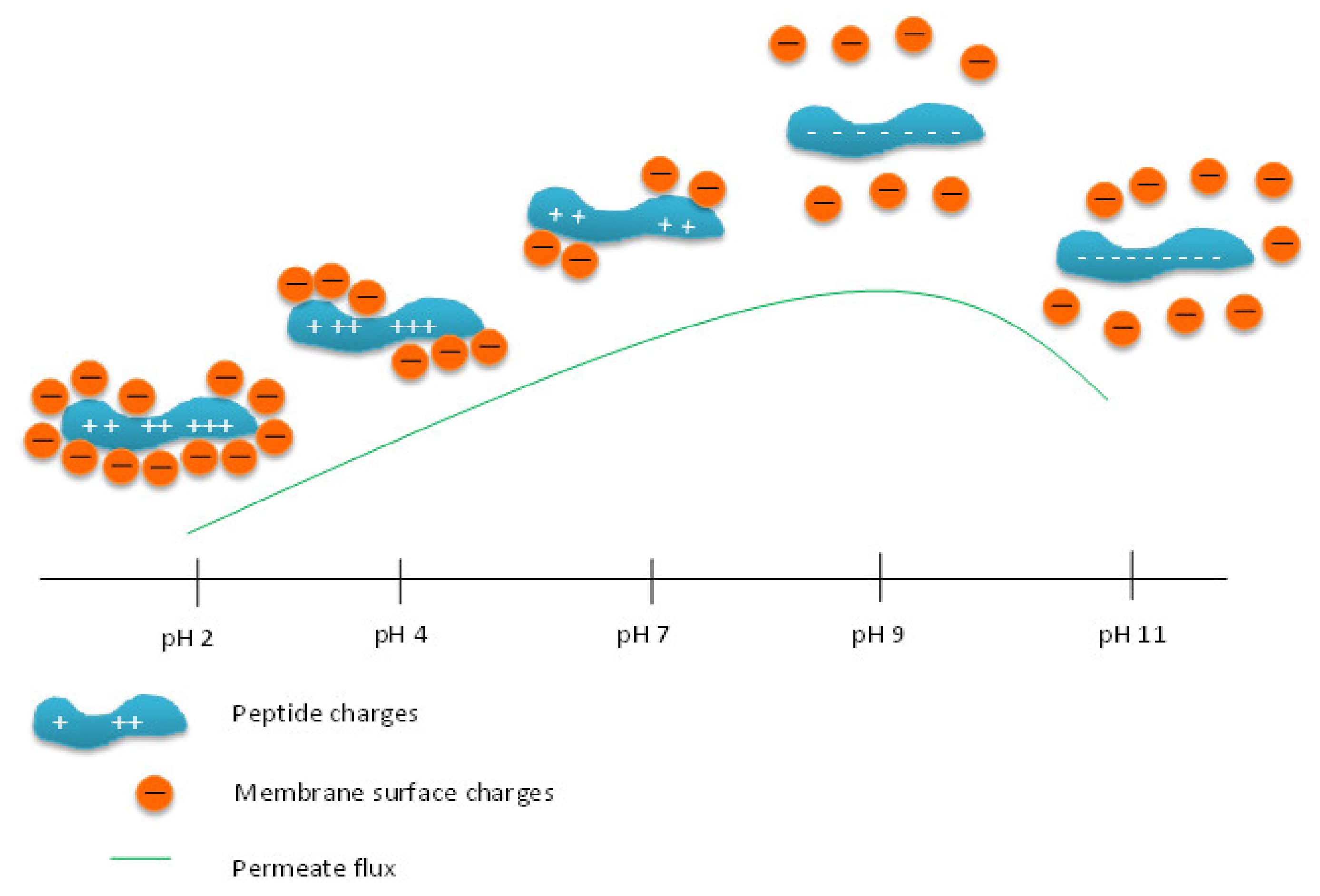 Processes 09 00610 g008