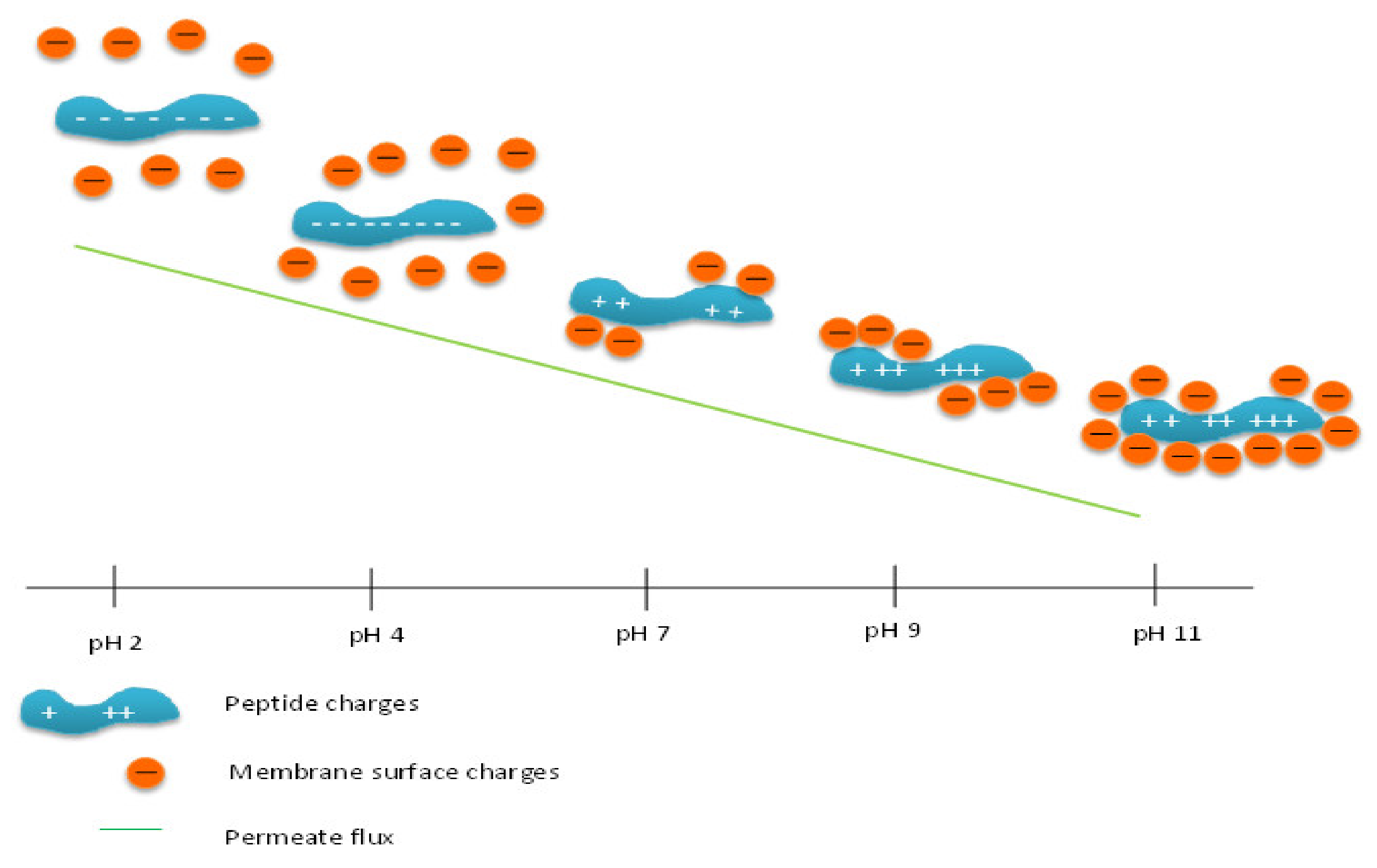Processes 09 00610 g009