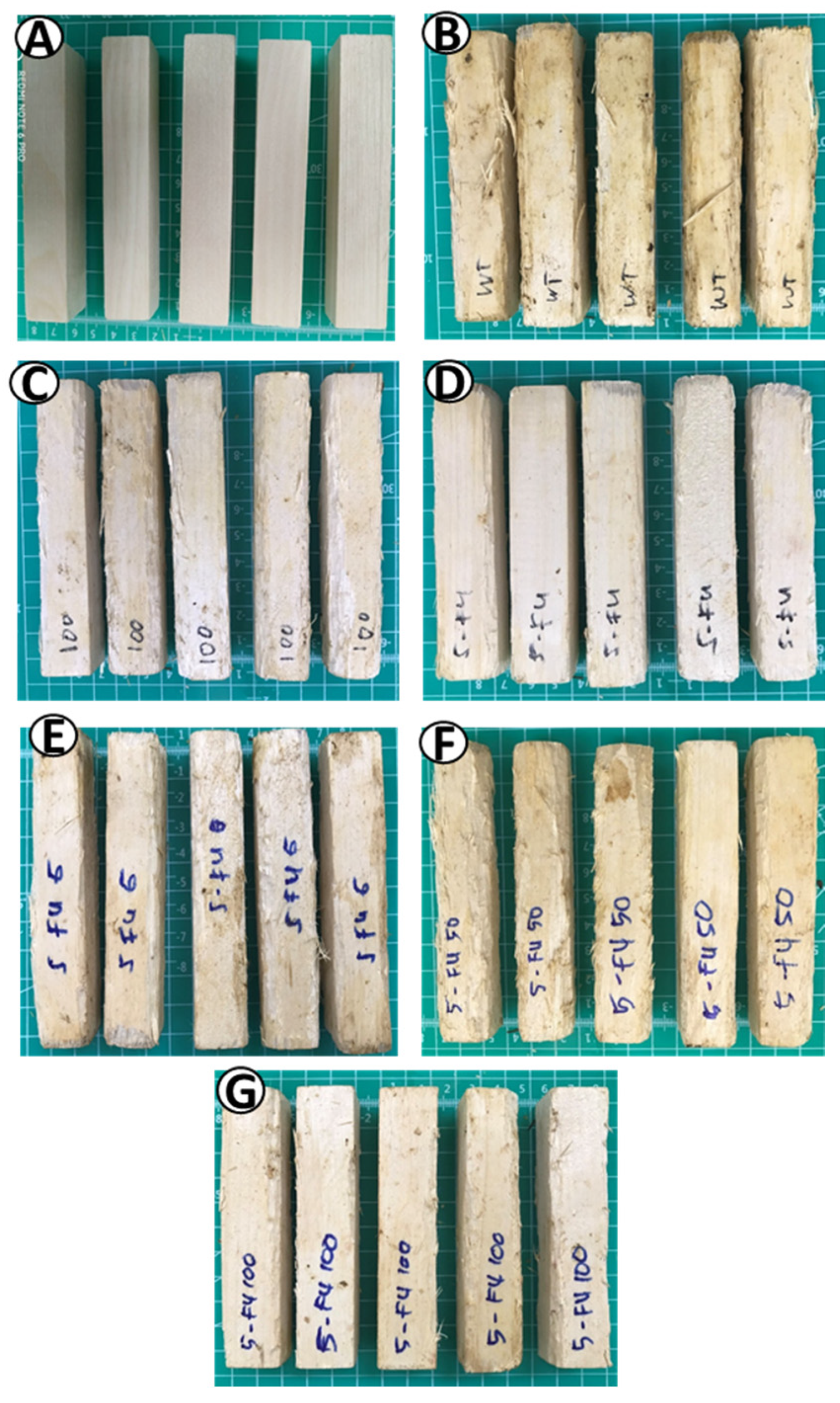 Processes 09 00615 g004 Processes 09 00615 g004