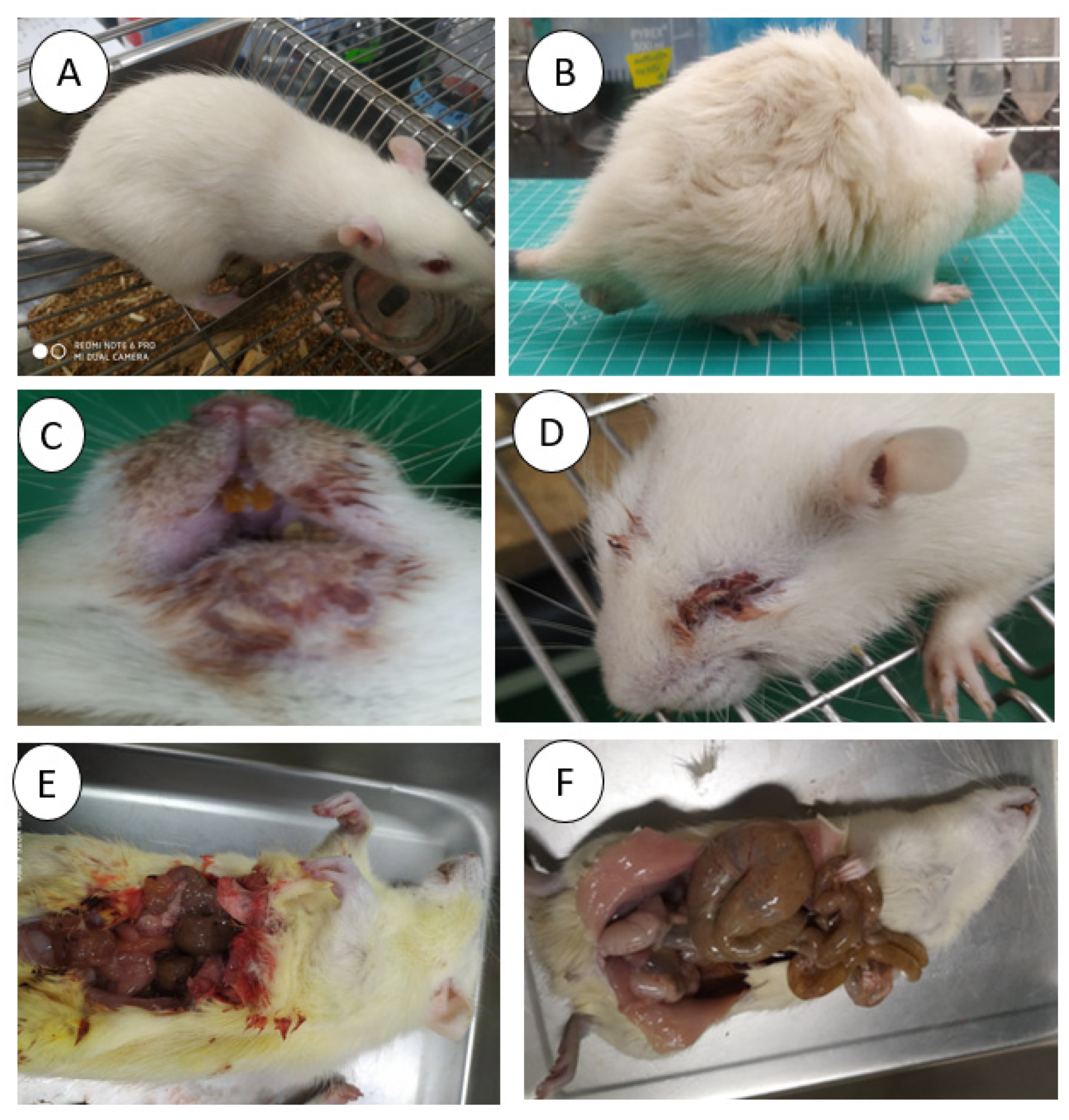 Processes 09 00615 g008 Processes 09 00615 g008