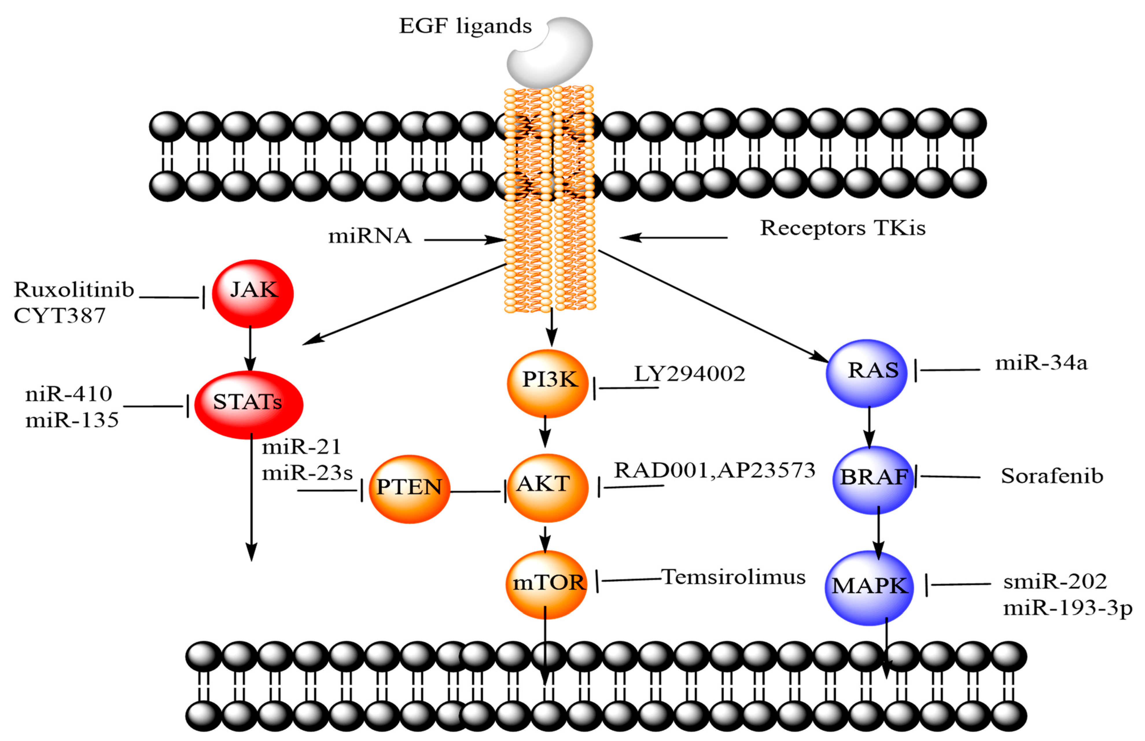 Processes 09 00621 g002 Processes 09 00621 g002