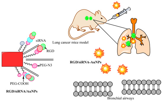 Processes Free Full Text Onco Receptors Targeting In Lung Cancer Via Application Of Surface Modified And Hybrid Nanoparticles A Cross Disciplinary Review Html