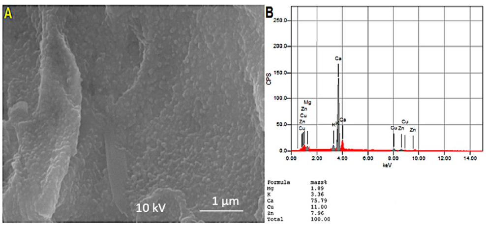 Processes 09 00624 g003 Processes 09 00624 g003